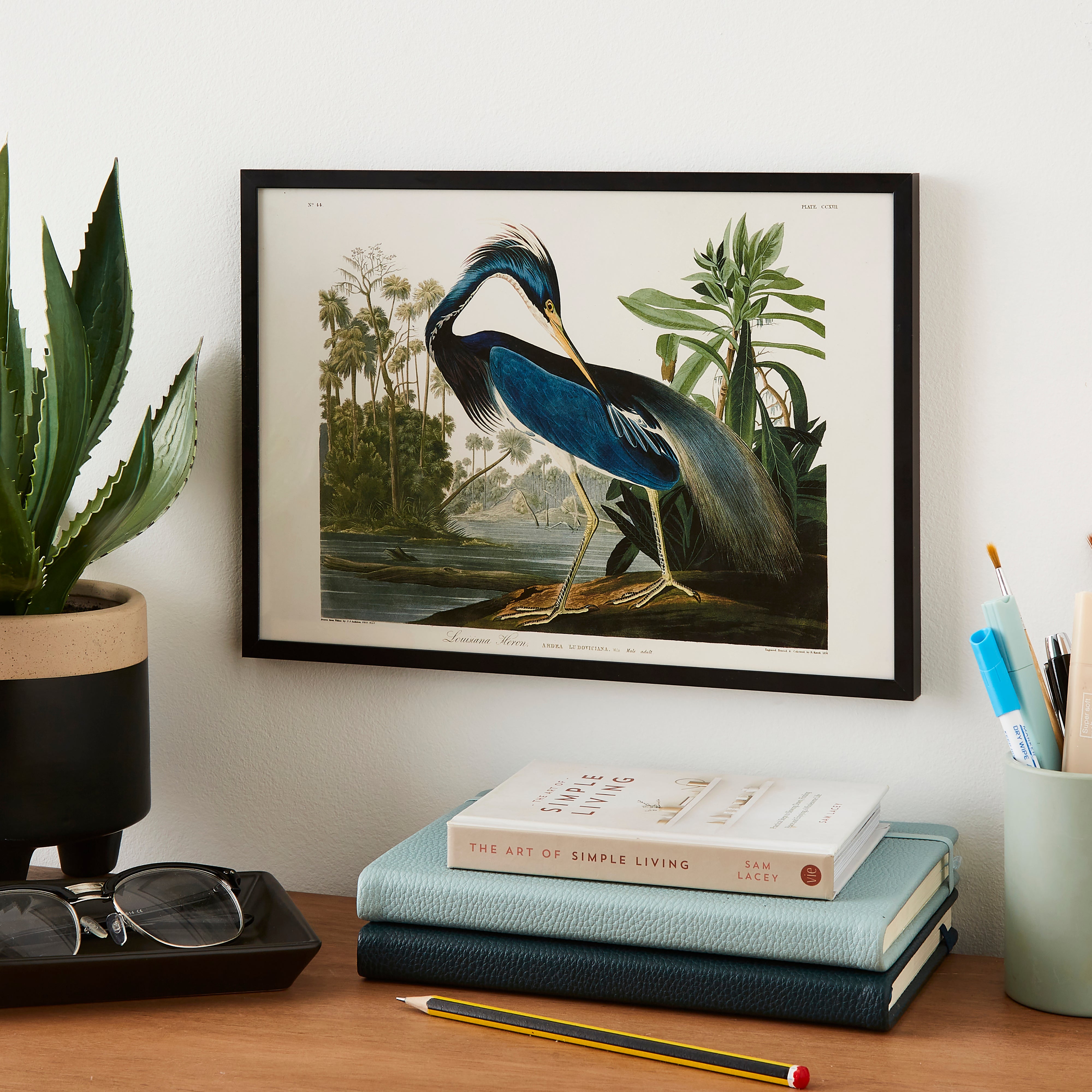 JJ Audubon Louisiana Heron Poster MultiColoured Price Comparisons | Compare The Build