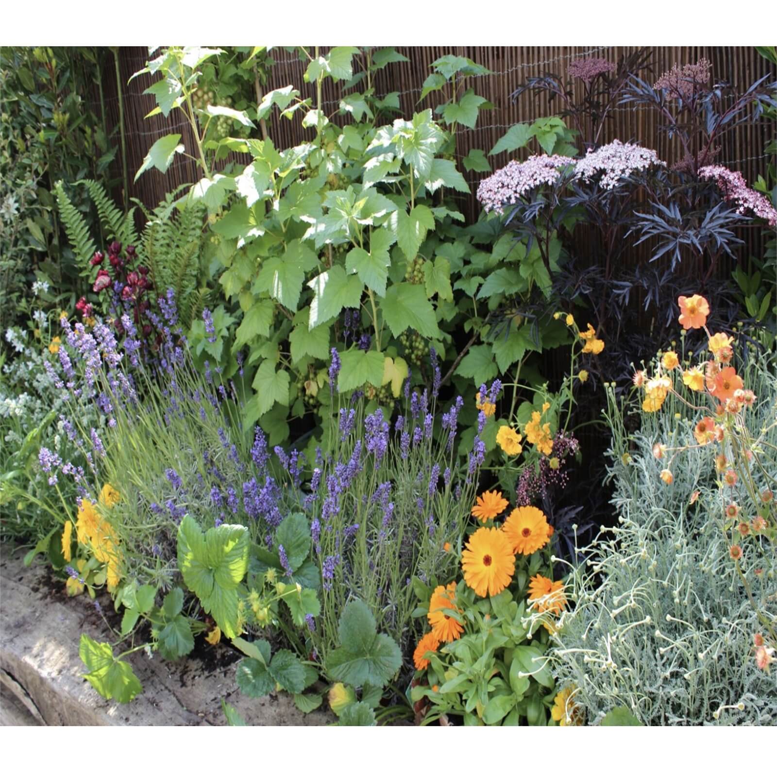 Sensory Border Collection - 3m x 60cm Price Comparisons | Compare The Build