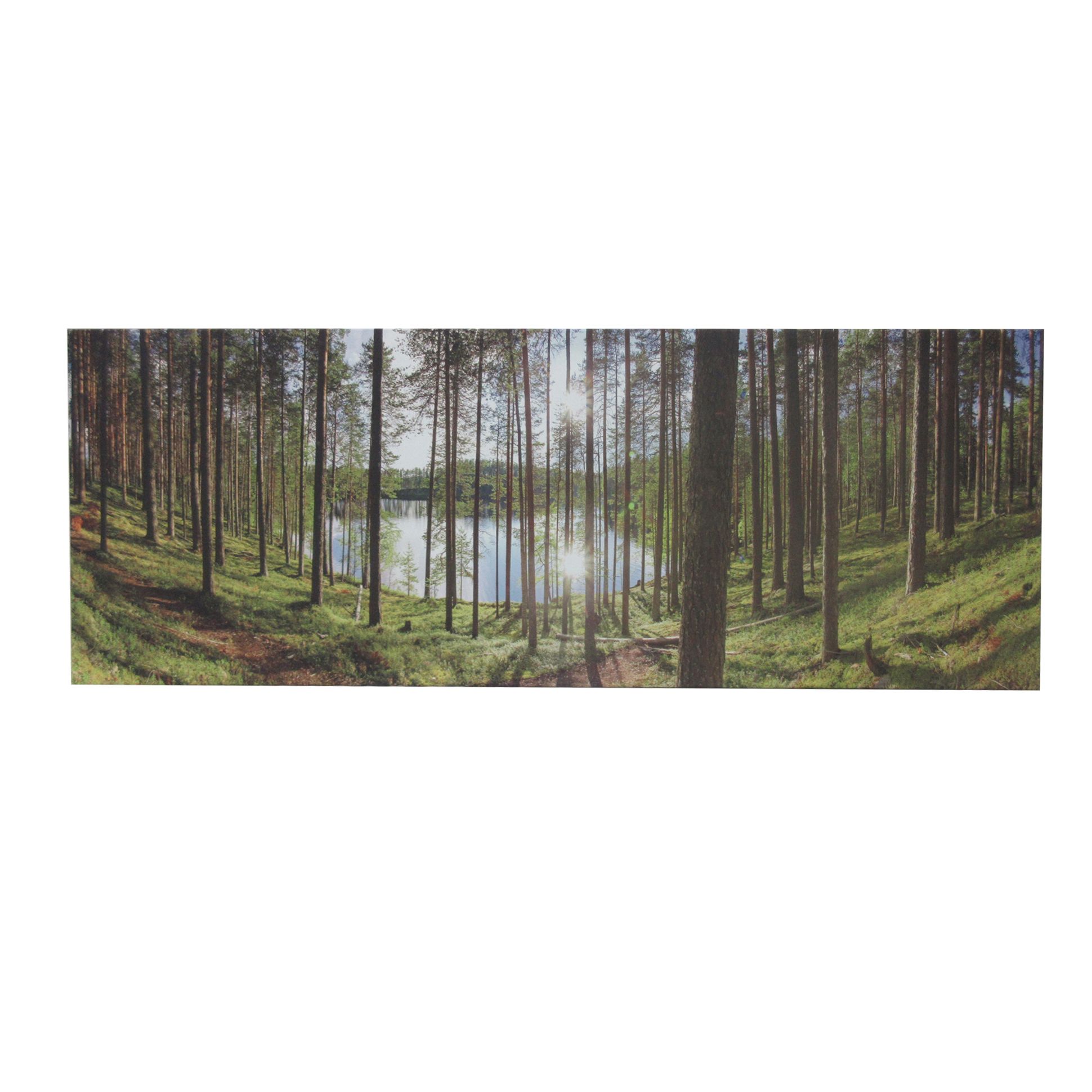 Forest Green Canvas Art (H)45Cm X (W)120Cm Price Comparisons | Compare The Build