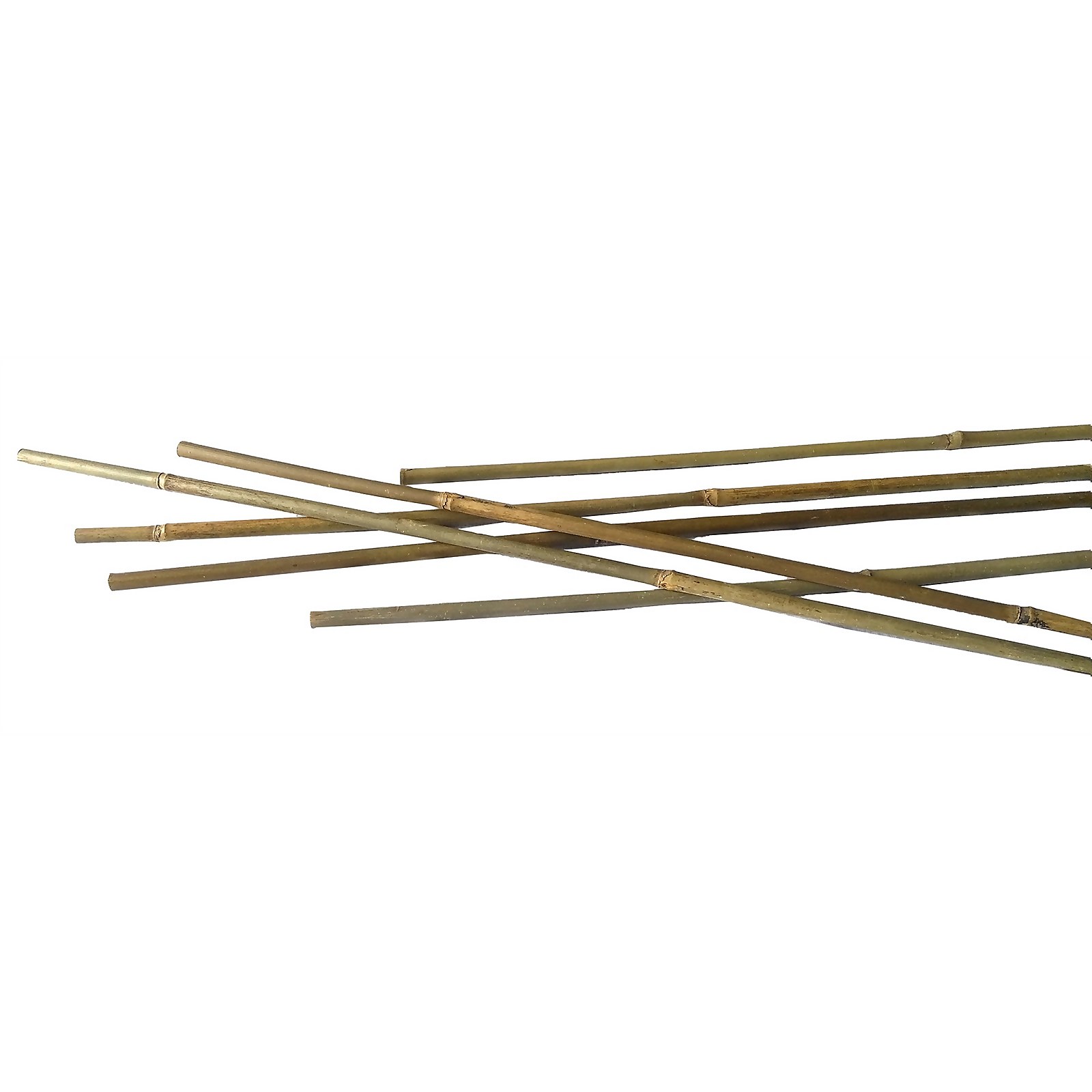 10 Pack Bamboo Canes - 0.9m/3ft Price Comparisons | Compare The Build