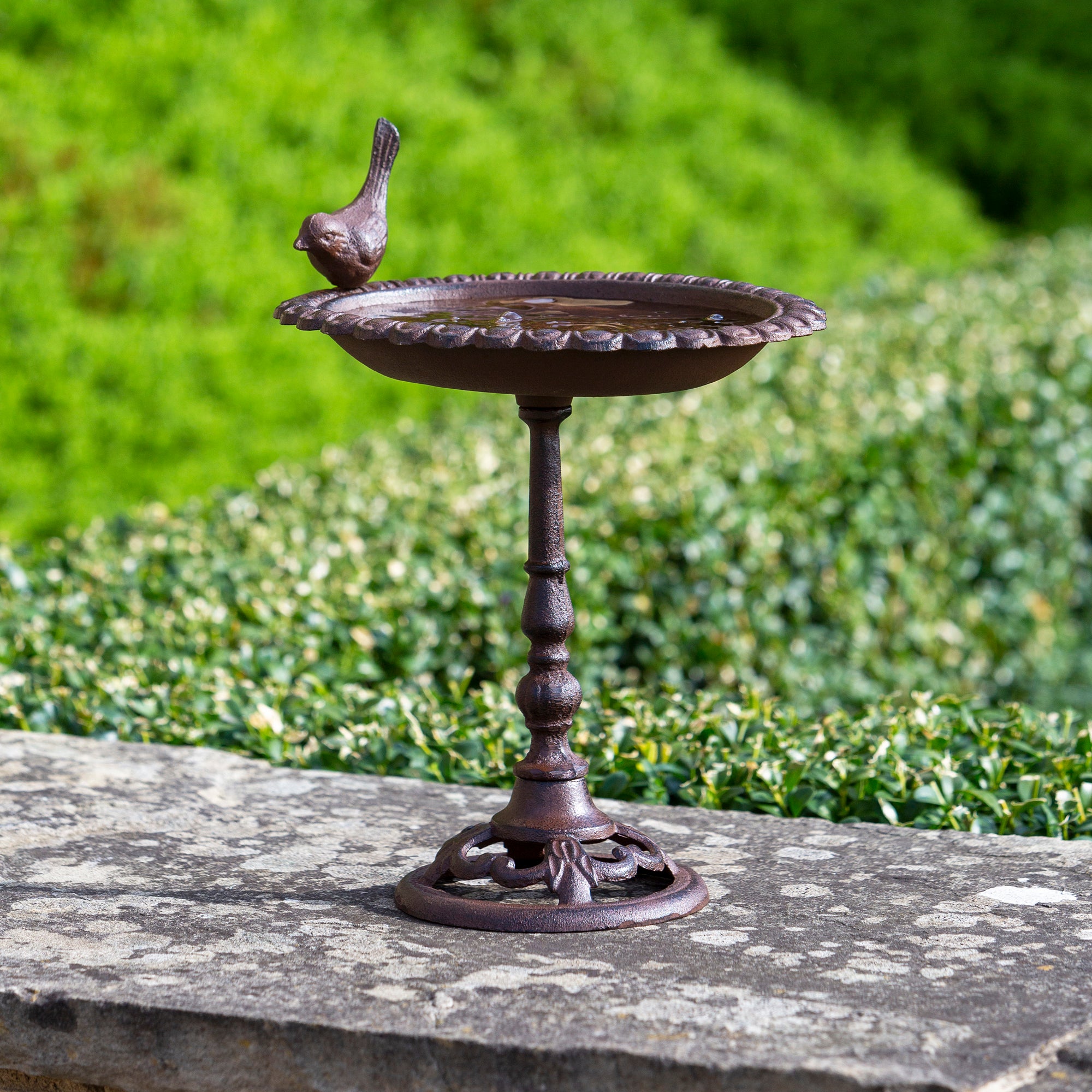 Cast Iron Bird Bath Brown | Compare The Build