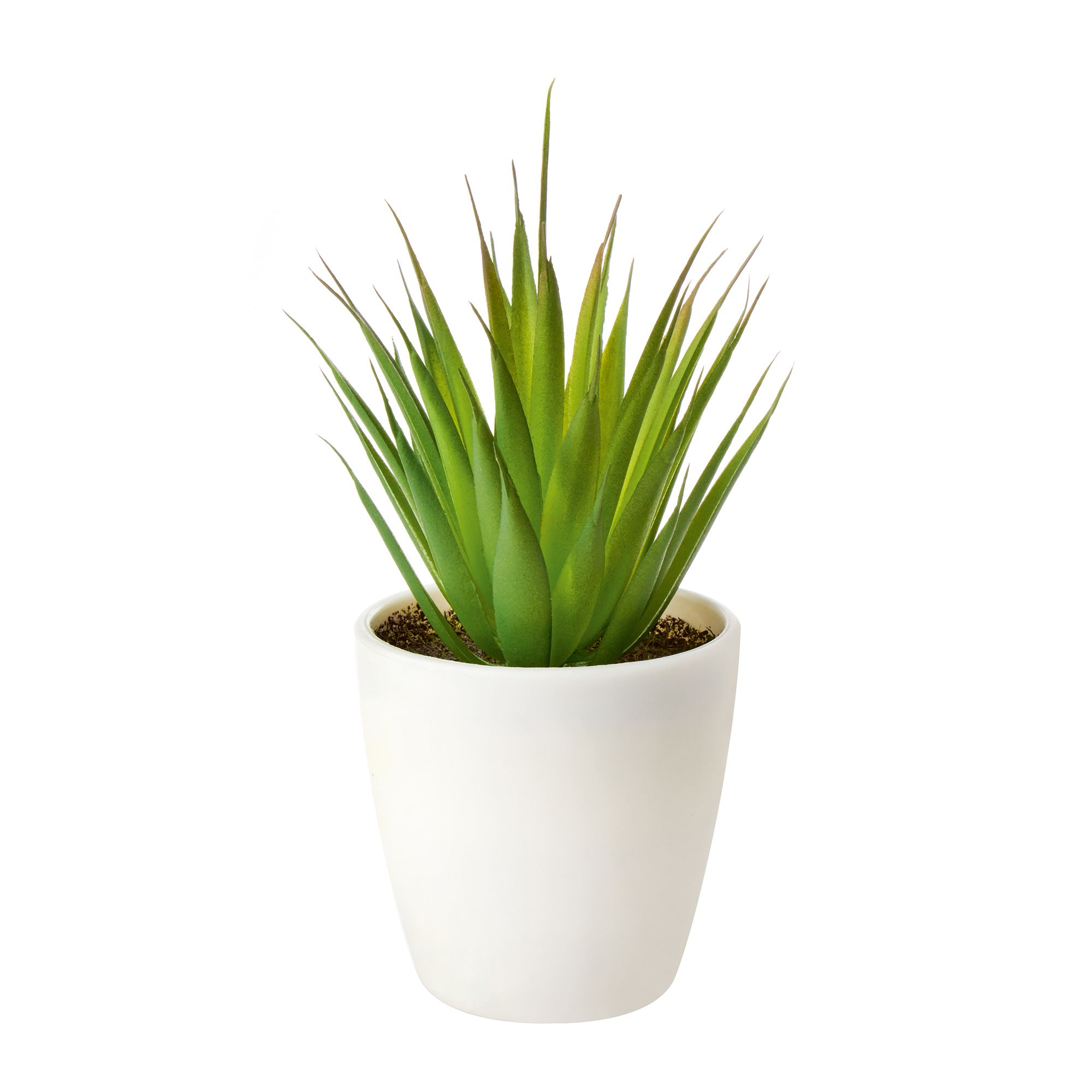 15Cm Succulent Artificial Plant In White Ceramic Pot Price Comparisons | Compare The Build