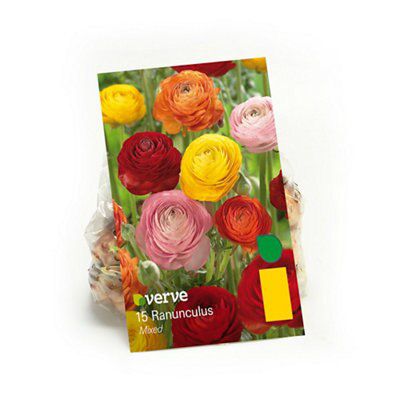 Verve Mixed Flower Bulb Price Comparisons | Compare The Build