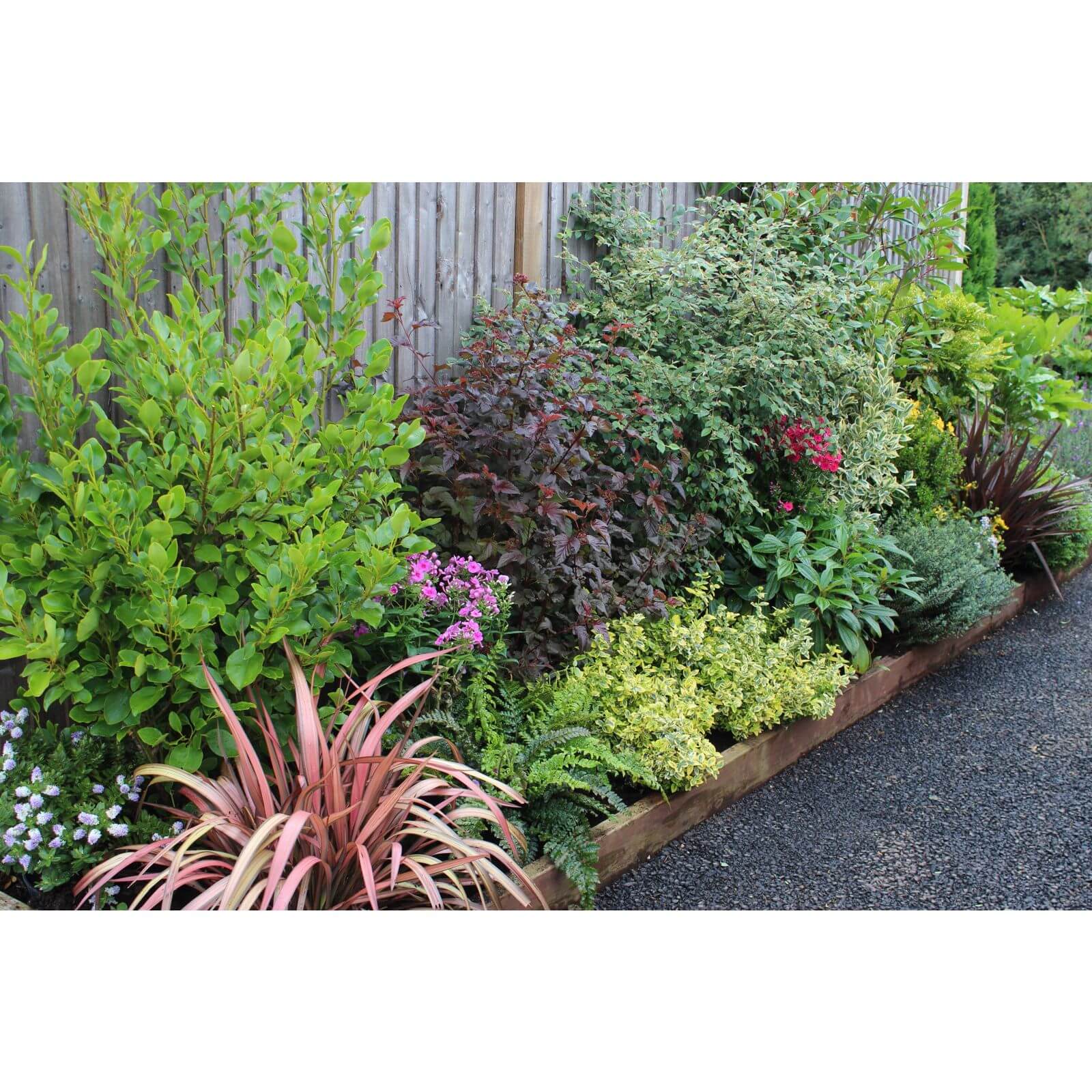 Evergreen Border Collection - 3m x 90cm Price Comparisons | Compare The Build