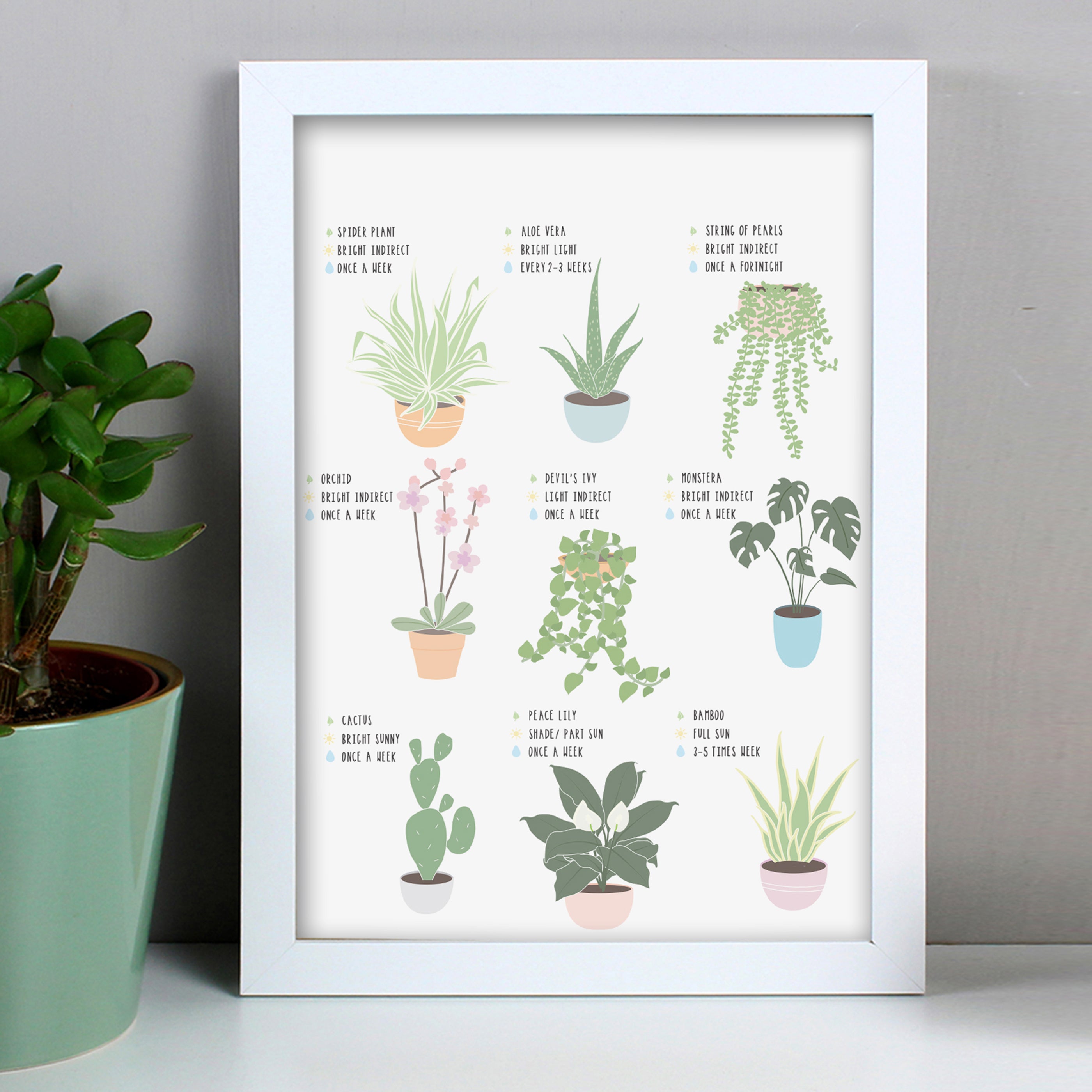 Personalised Plants Guide A4 Framed Print White Price Comparisons | Compare The Build