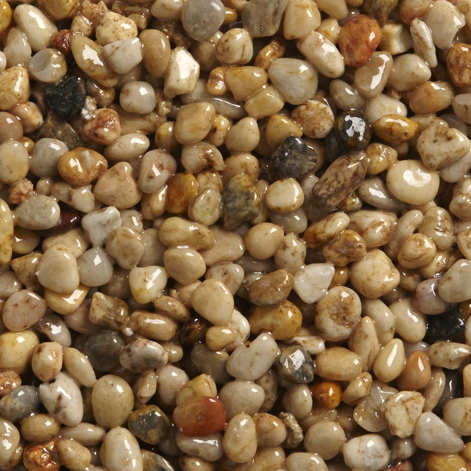 Stonebound Decorative Resin Bound Gravel Price Comparisons | Compare The Build