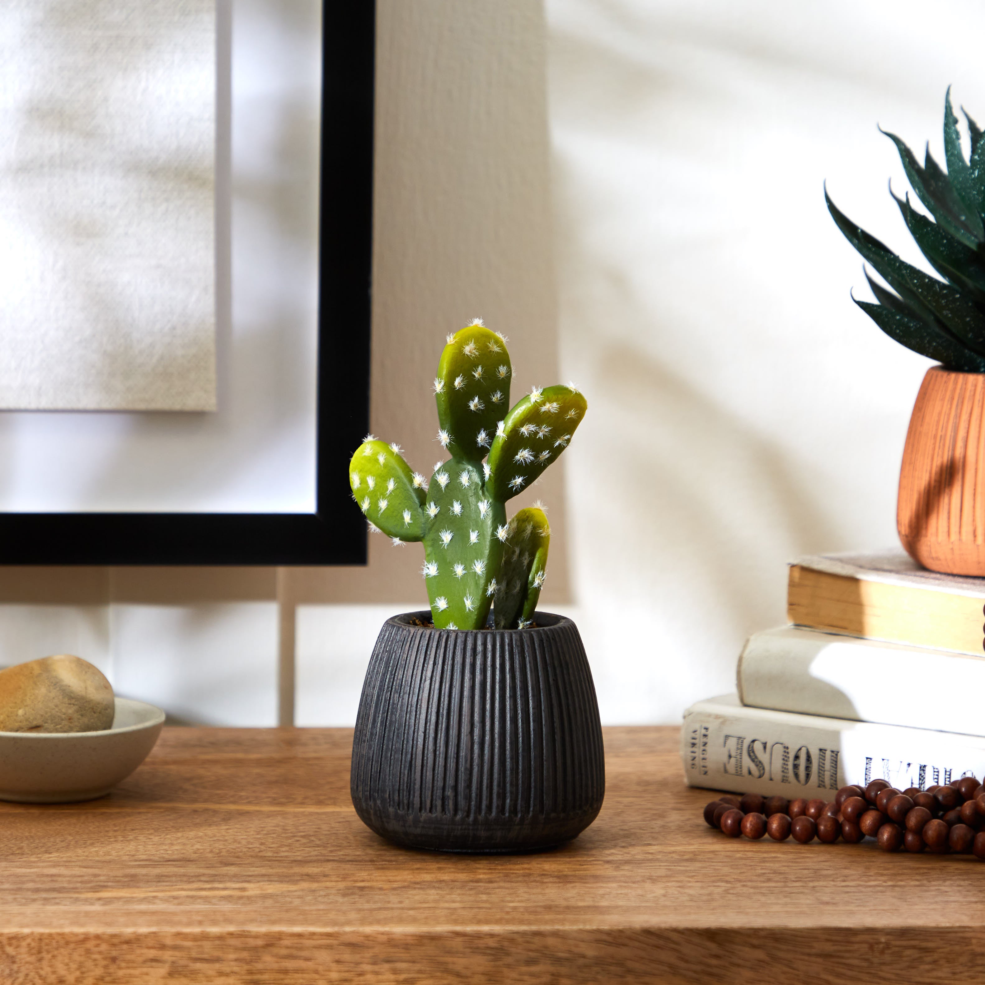 Cacti in Ceramic Pot 16cm Black Price Comparisons | Compare The Build