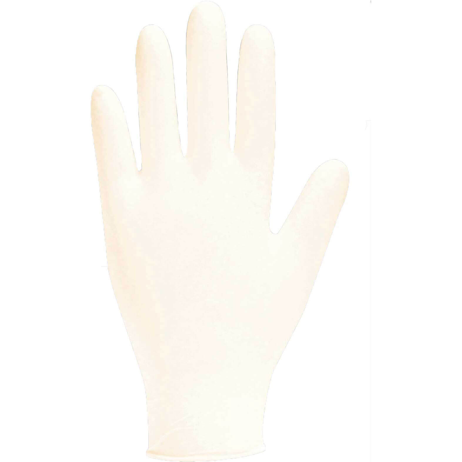 Polyco Bodyguard Latex Disposable Gloves L Pack of 100 Price Comparisons | Compare The Build