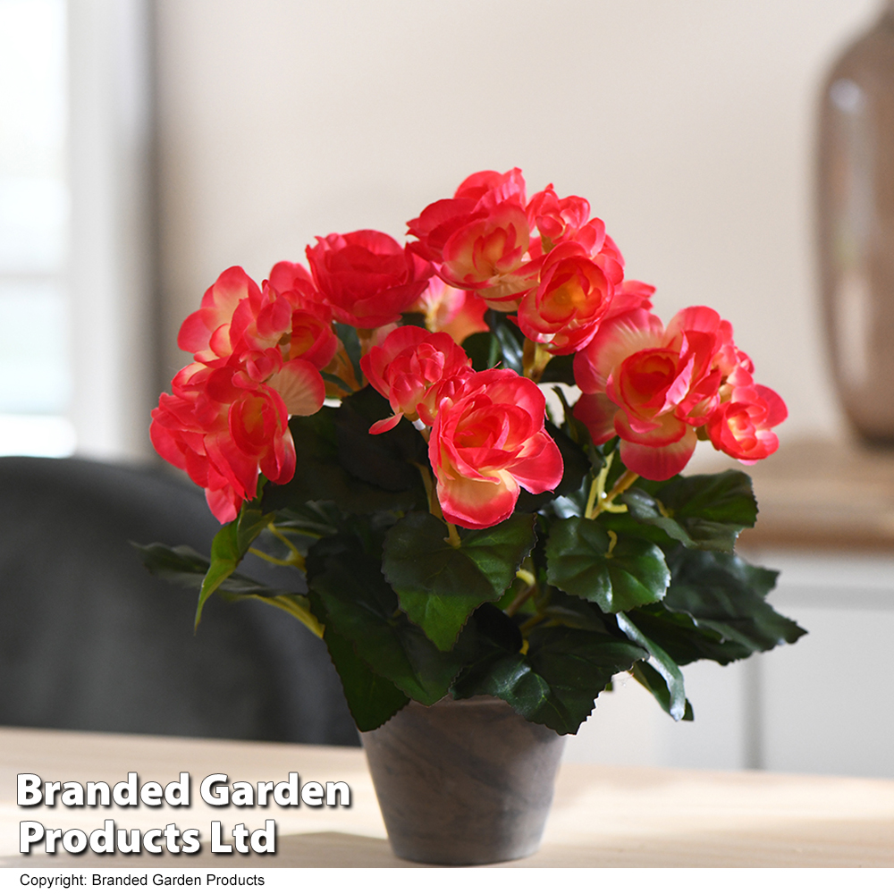 Artificial Begonia Pink in Grey Pot Price Comparisons | Compare The Build