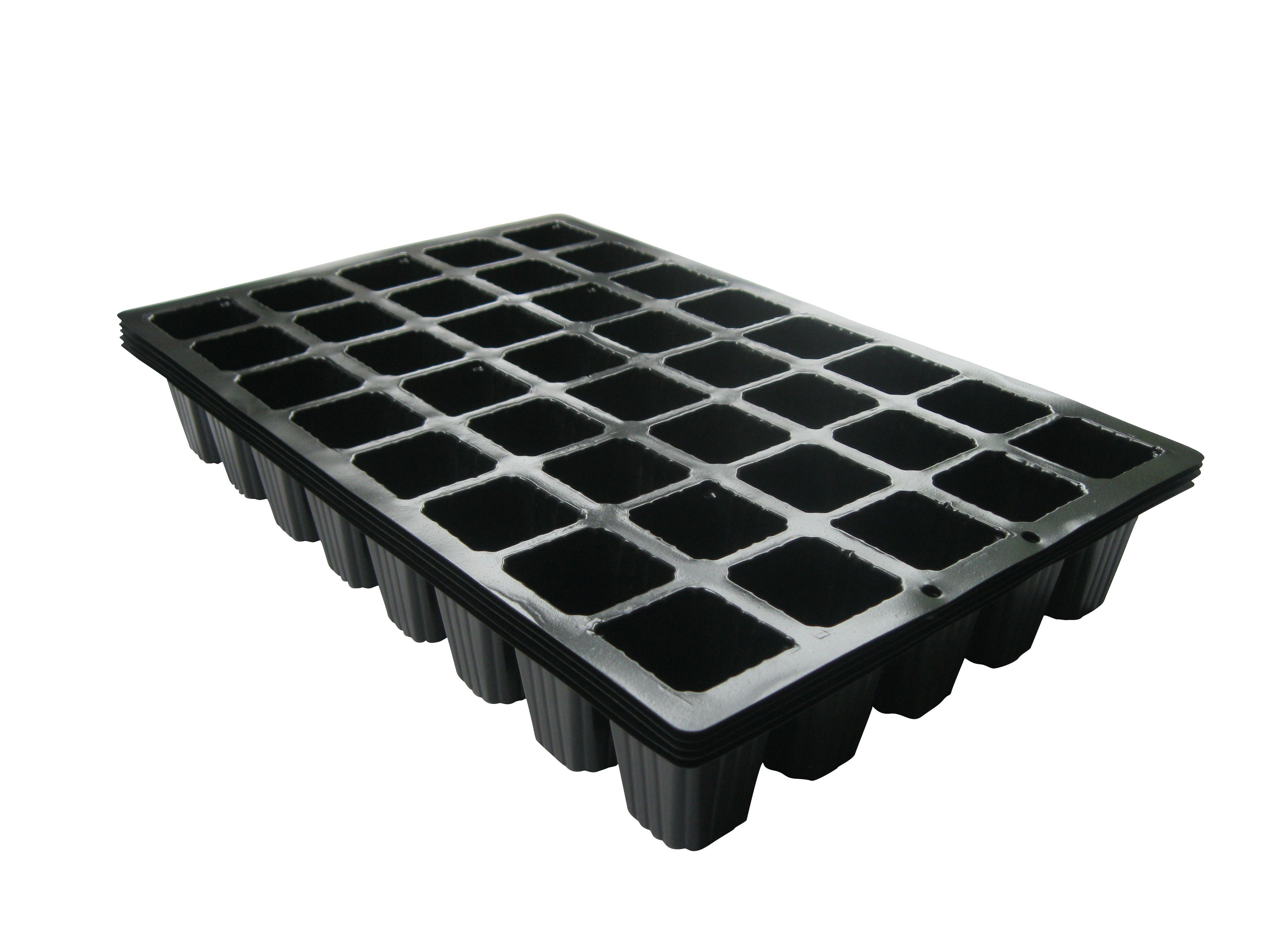 Verve 40 Cell Propagator Insert 35.4Cm, Pack Of 5 Price Comparisons | Compare The Build