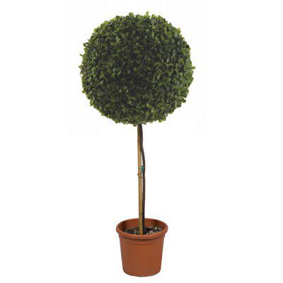 Nurgul Green Plastic Plant Pot (Dia)100Cm | Compare The Build