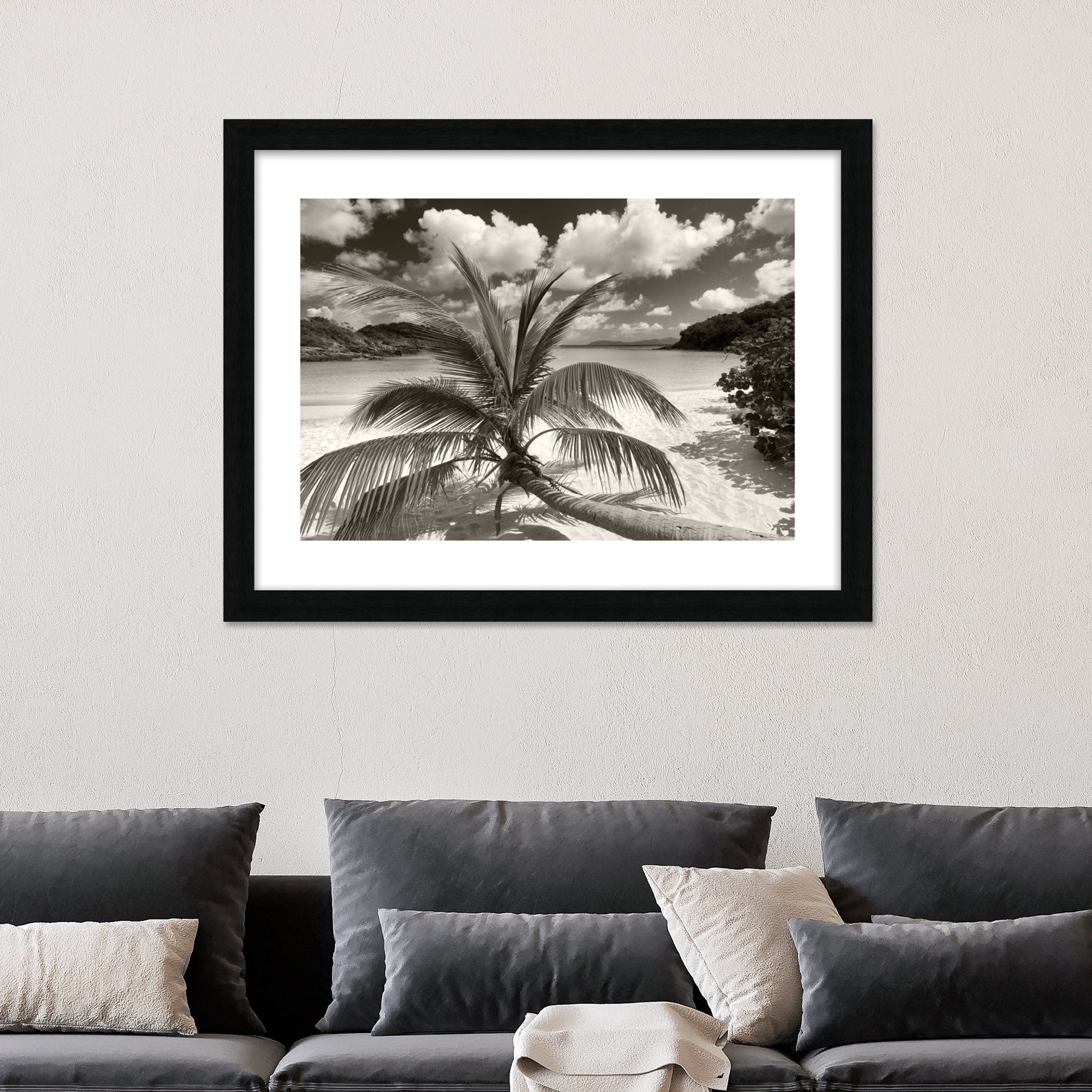 The Art Group Still Growing To The Sun Framed Print Black and white Price Comparisons | Compare The Build