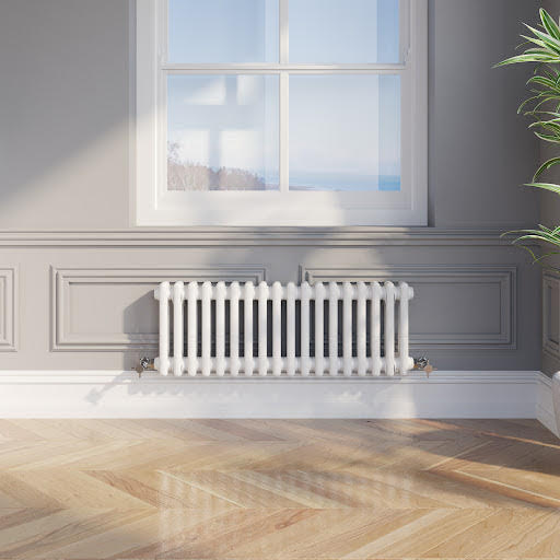 Park Lane Traditional Colosseum Double Bar Column Radiator White 300 x 830mm Price Comparisons | Compare The Build