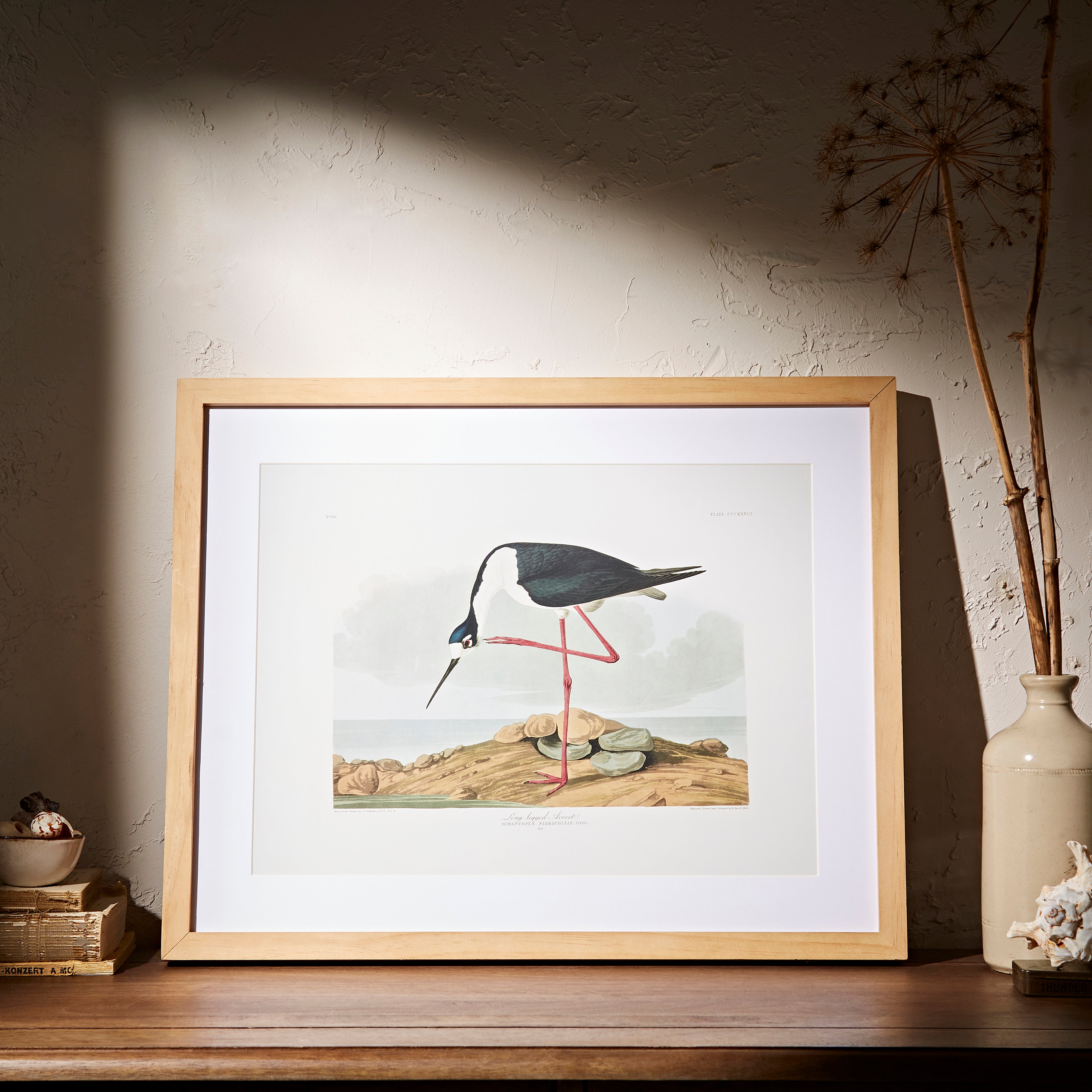 Framed Bird Art 52cm x 42cm Wood (Brown) Price Comparisons | Compare The Build