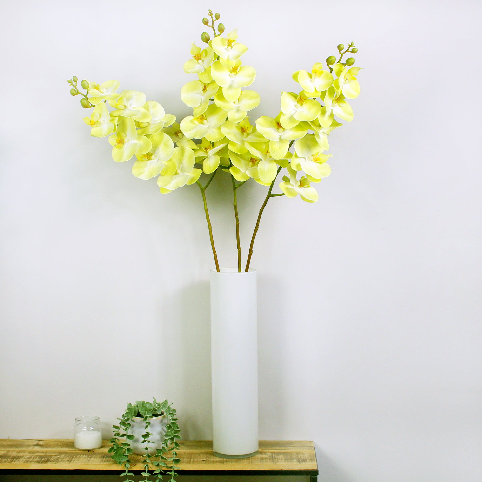 Green Real Touch Phalaenopsis 3 Pack Yellow Price Comparisons | Compare The Build