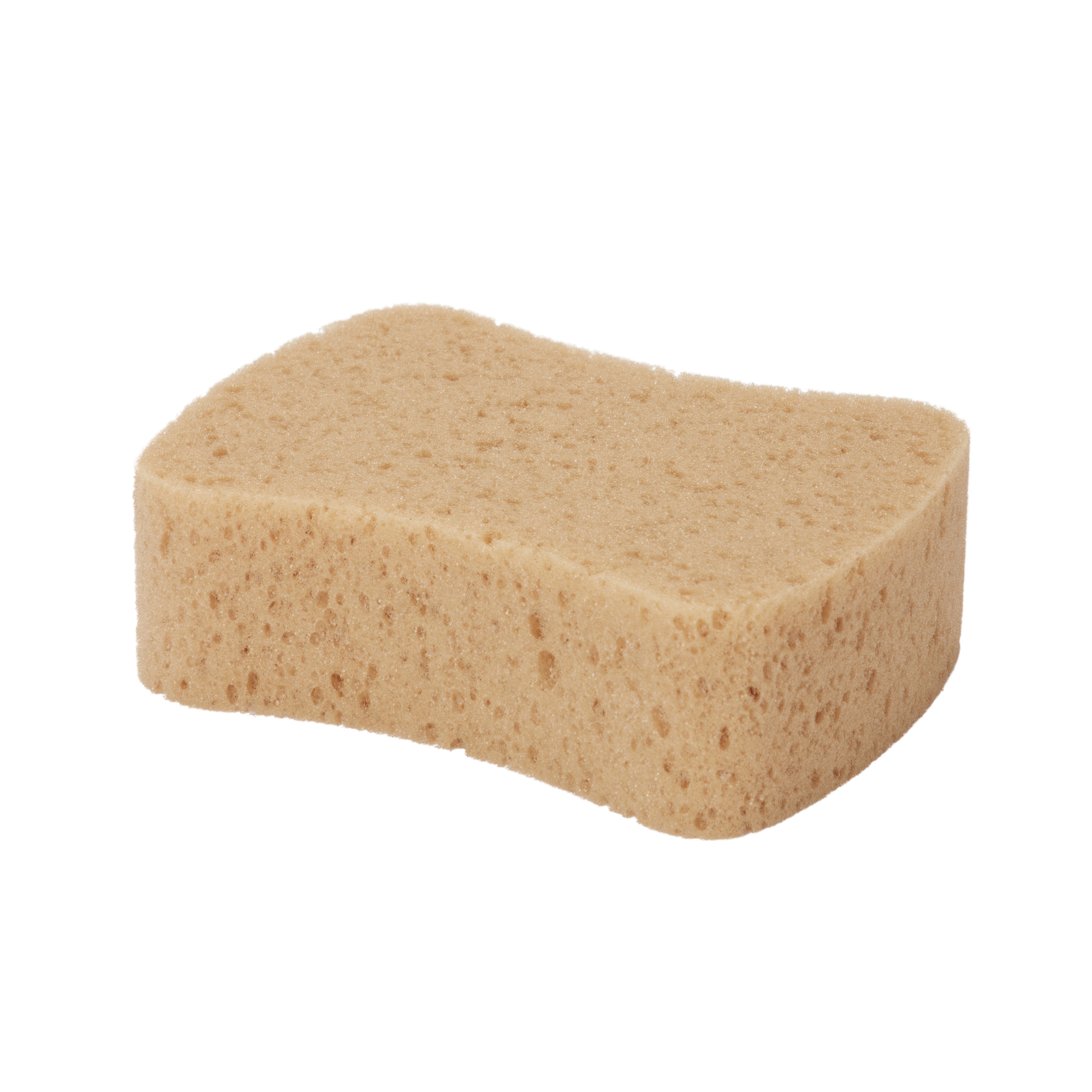 Decorators Synthetic Sponge | Compare The Build