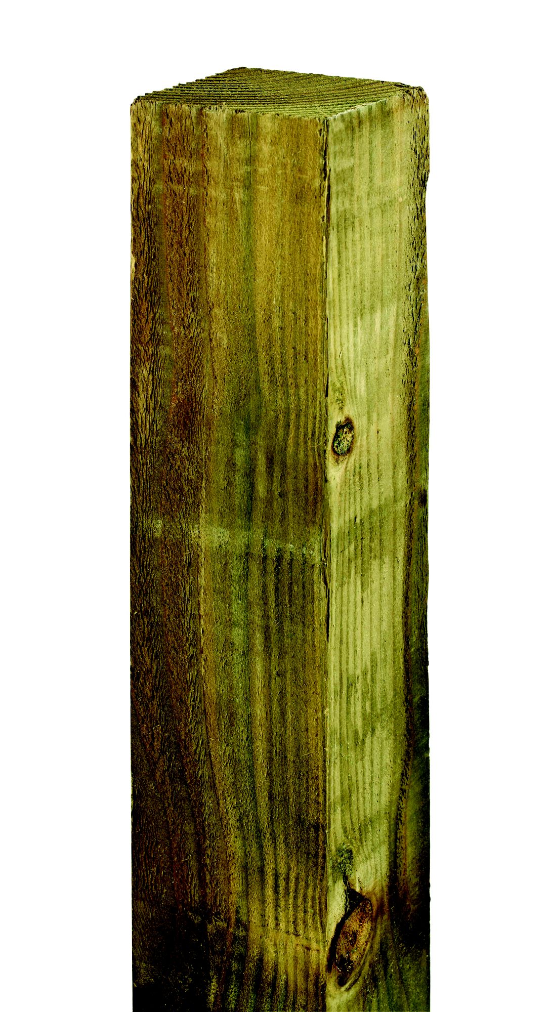 Blooma Timber Timber Fence Post (H)2.4M (W)75 mm | Compare The Build