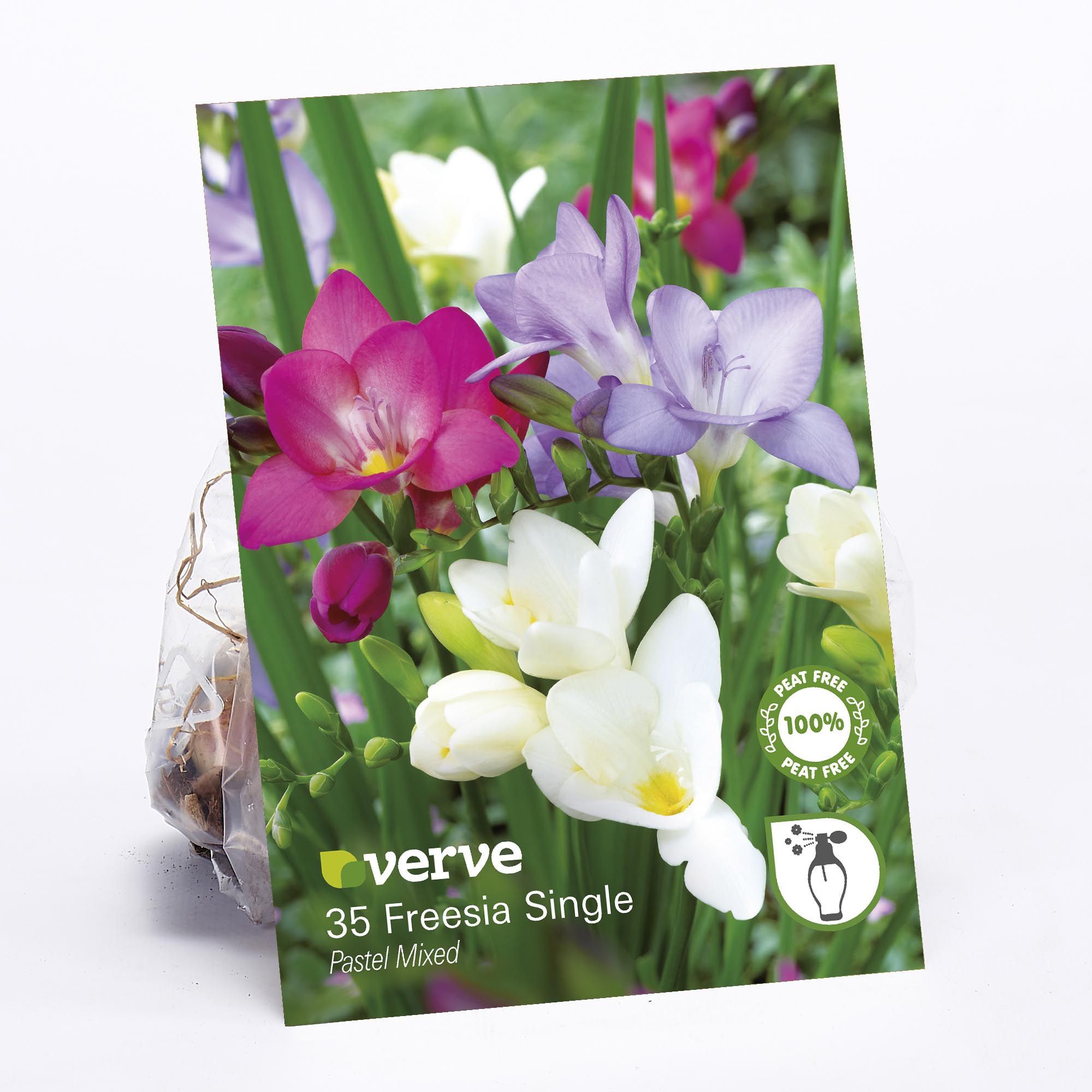 Core Freesia Single Pastel Mixed Flower Bulb, Pack Of 35 Price Comparisons | Compare The Build