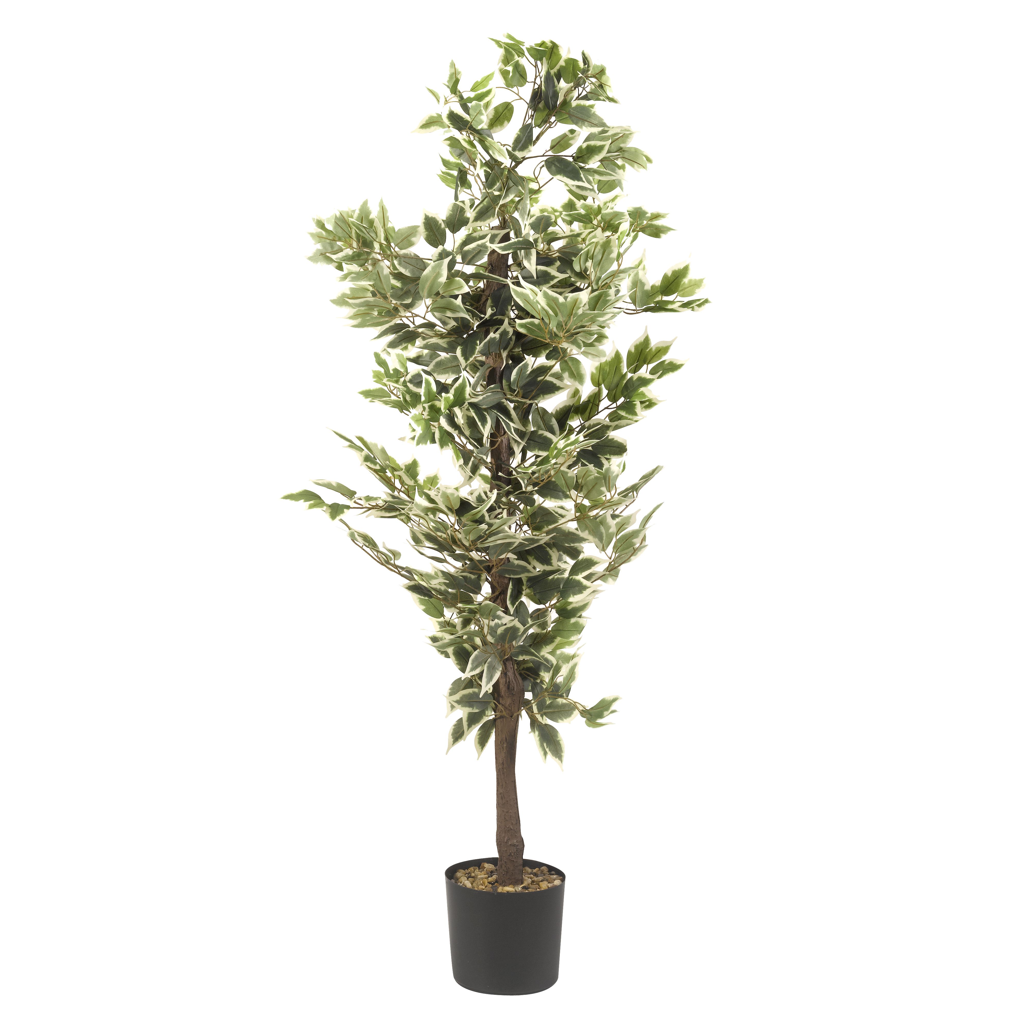 Smart Garden Ficus Tree Artificial Plant In Black Pot Price Comparisons | Compare The Build