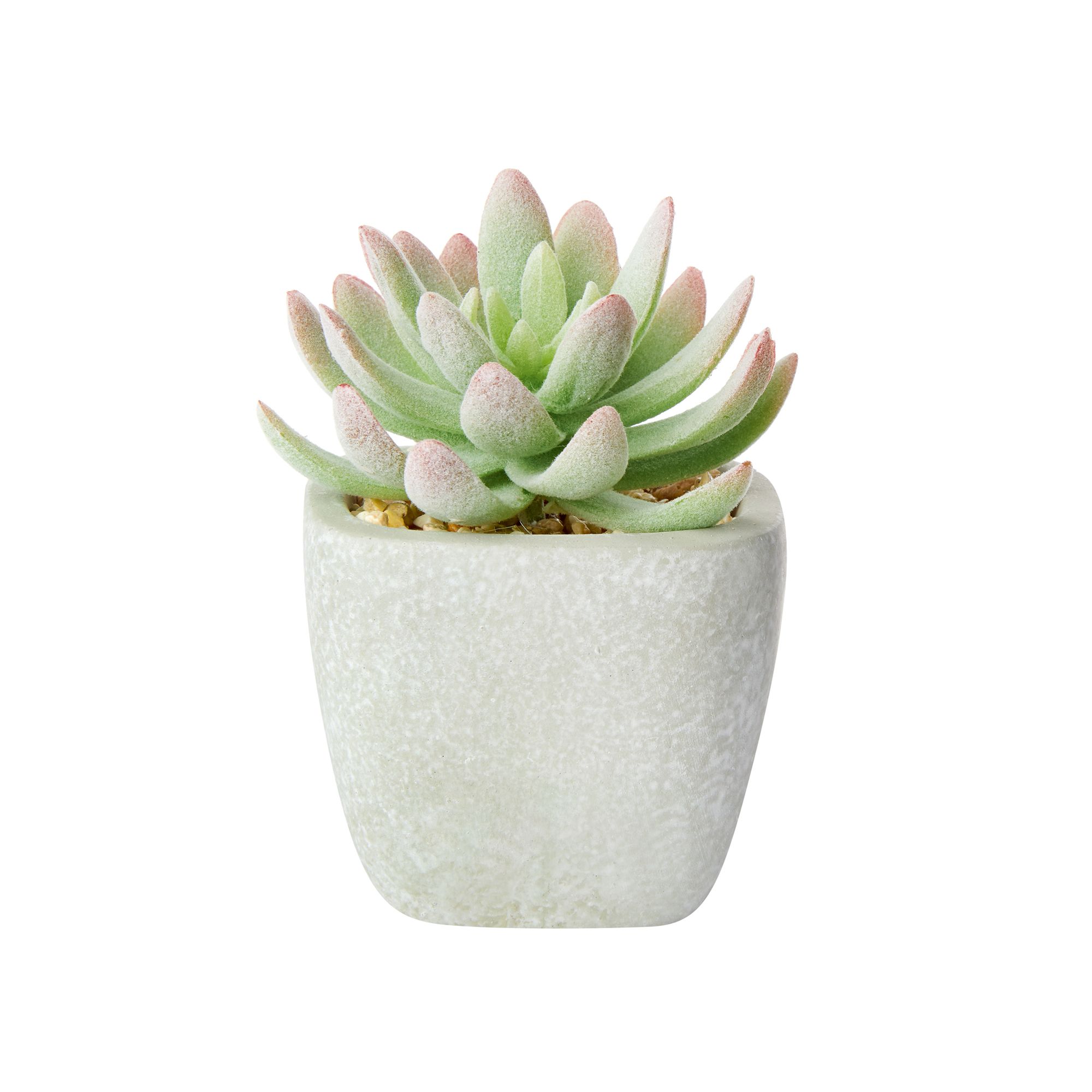 Green Aloe Rose Cactus Artificial Plant, 16Cm Price Comparisons | Compare The Build