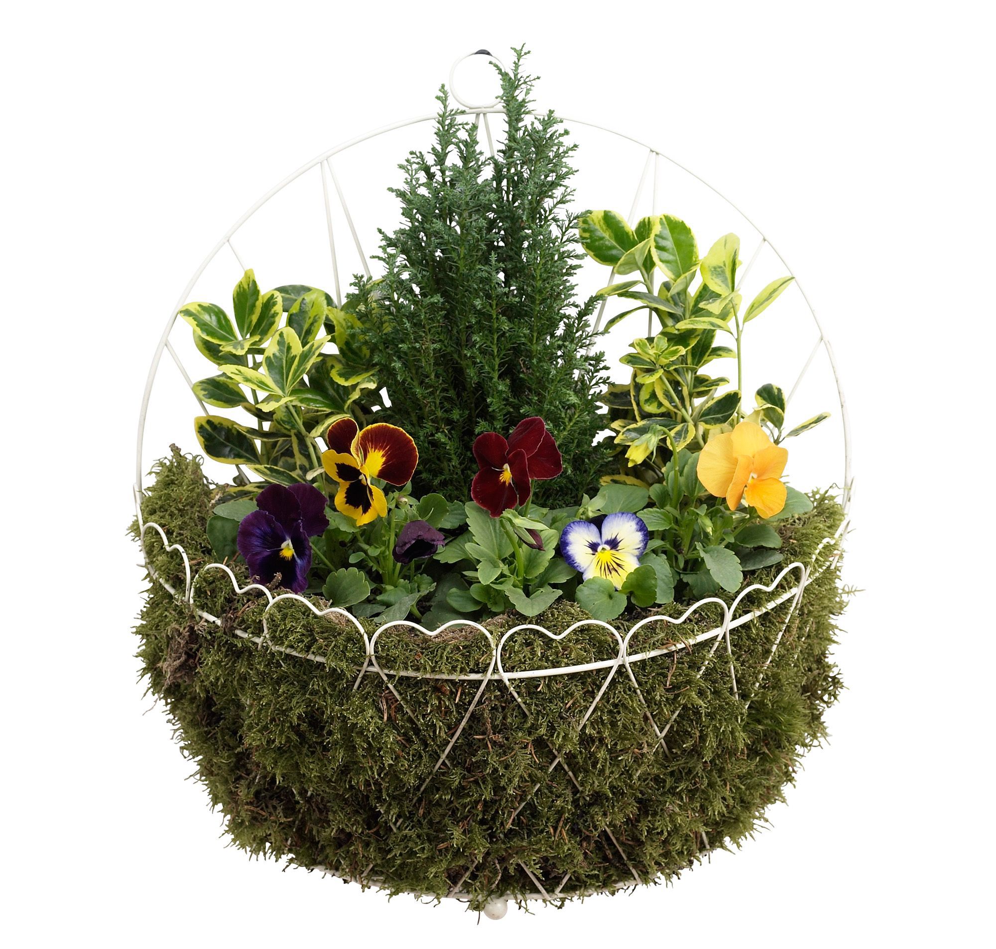 Brown Hanging Basket Of 1 Price Comparisons | Compare The Build