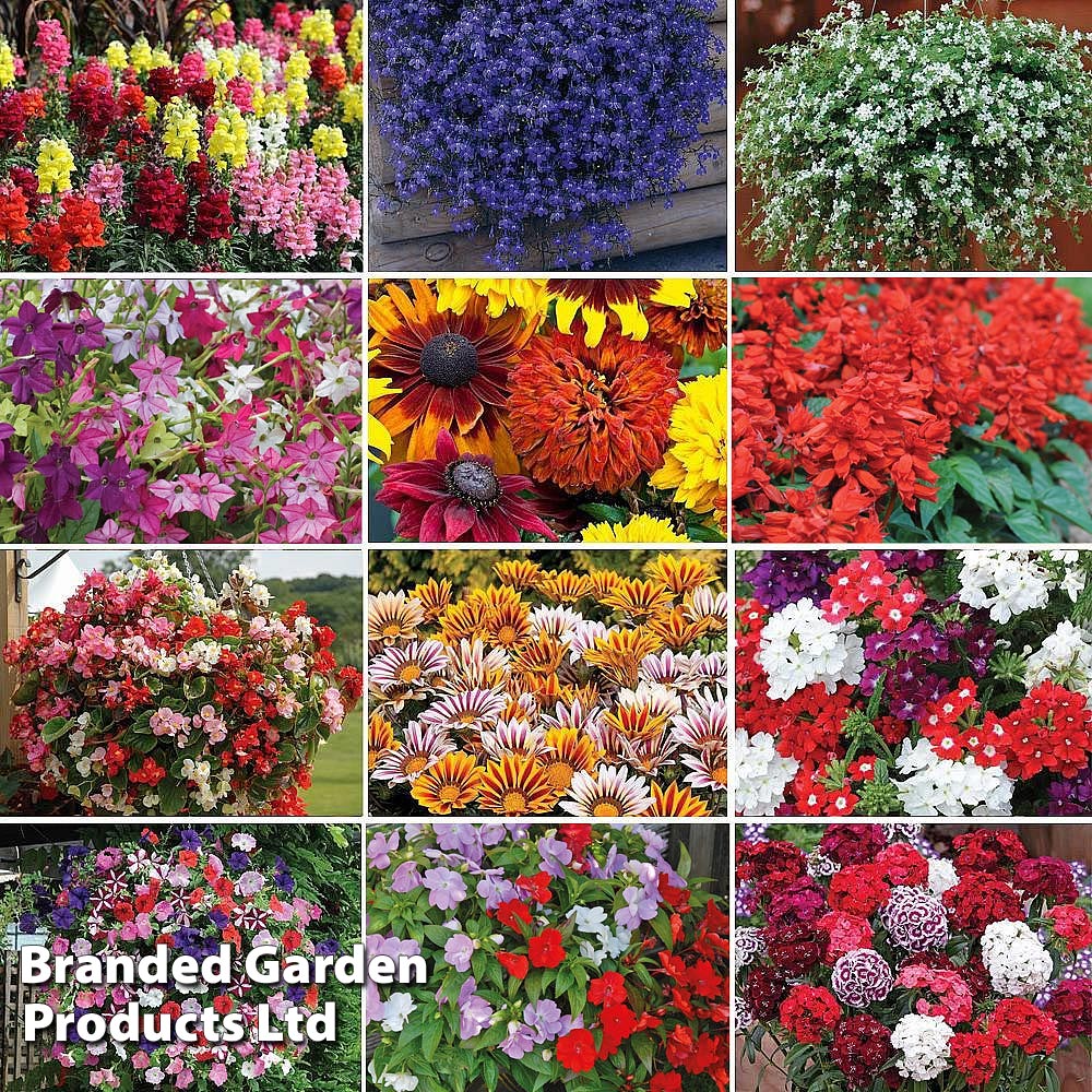 Summer Garden Plant Collection Price Comparisons | Compare The Build