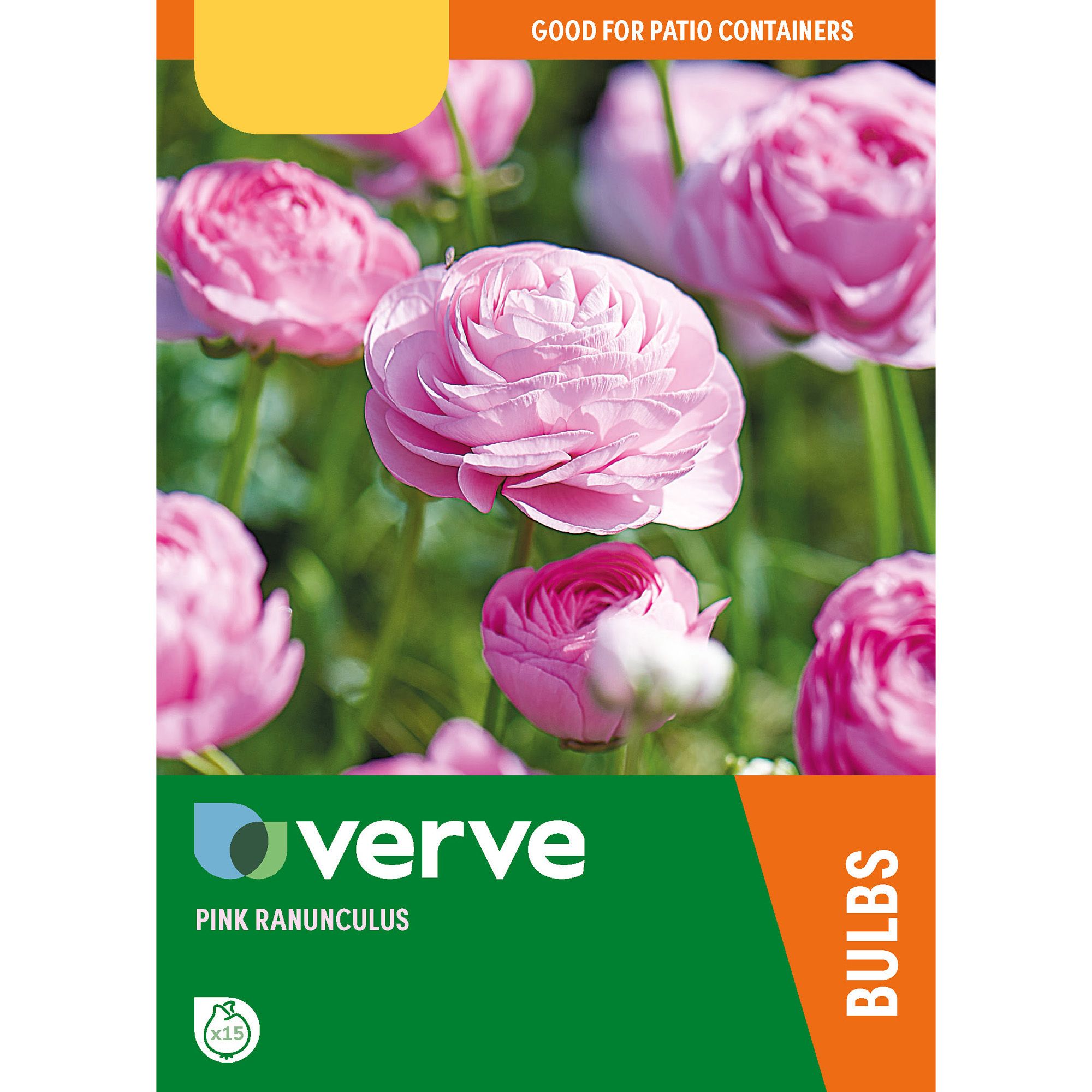Verve Pink Ranunculus Flower Bulb, Pack Of 15 Price Comparisons | Compare The Build