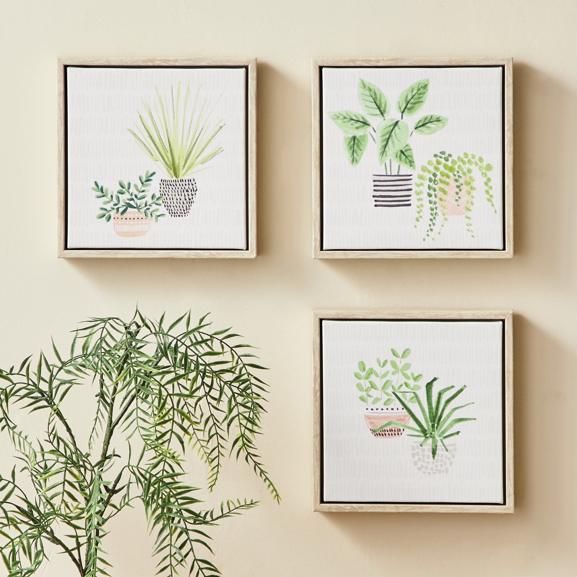 Set of 3 Plants Canvases MultiColoured Price Comparisons | Compare The Build