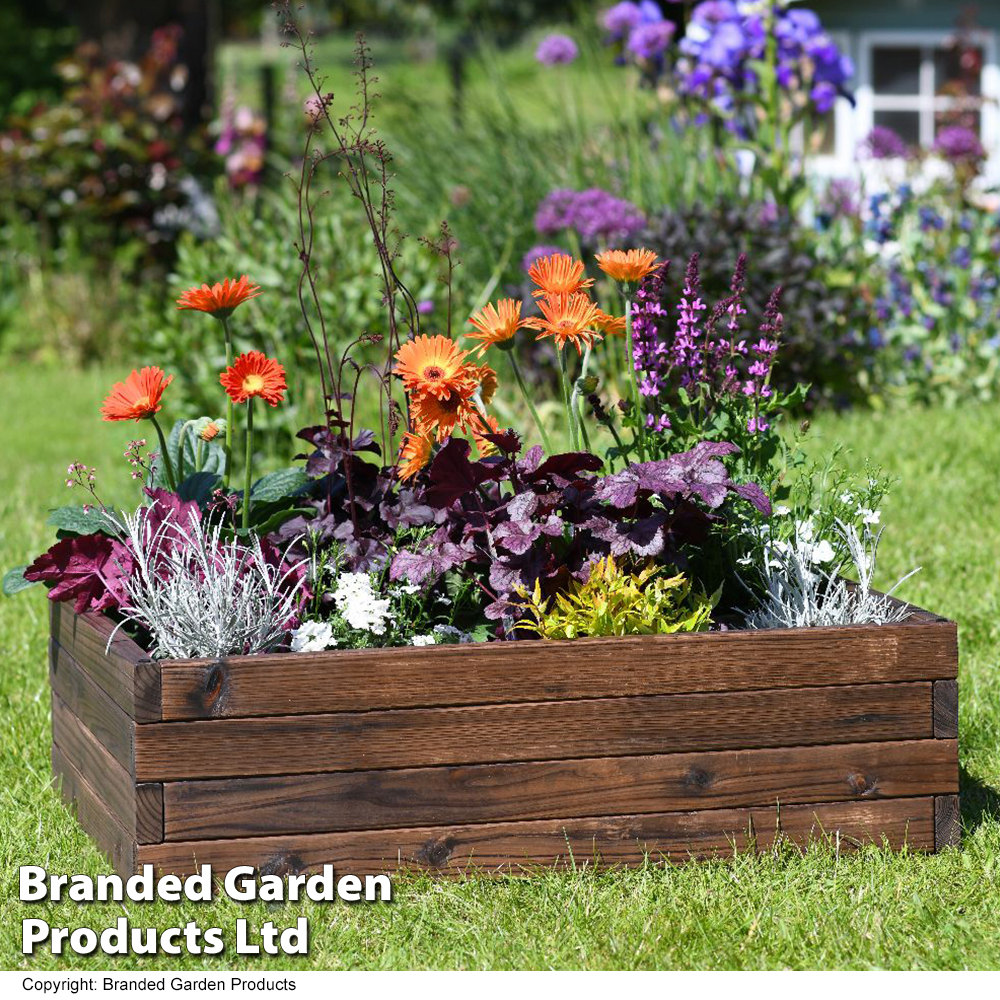 Garden Life Wooden Raised Garden Bed Price Comparisons | Compare The Build