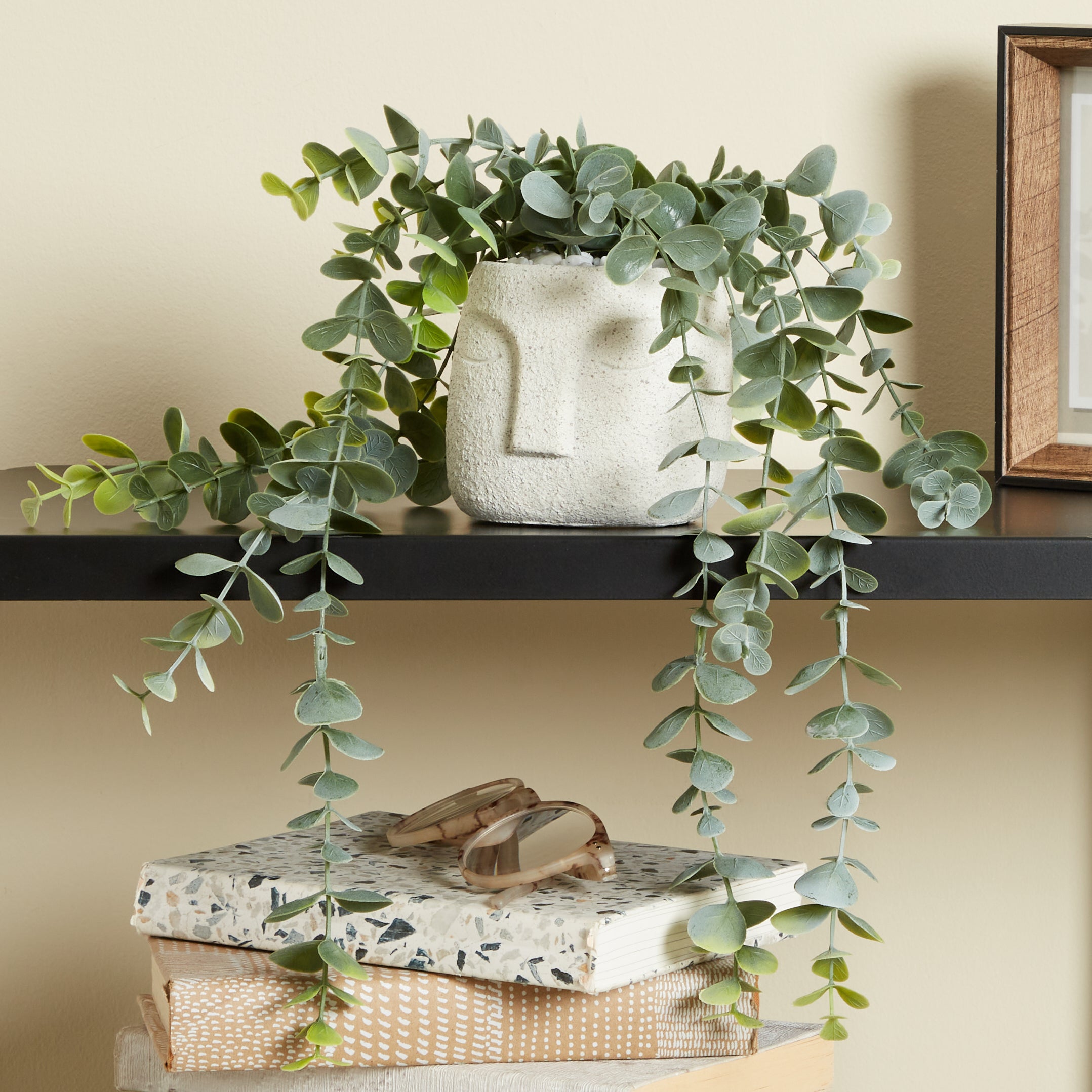 Face Plant Pot Trailing Eucalyptus Green Price Comparisons | Compare The Build