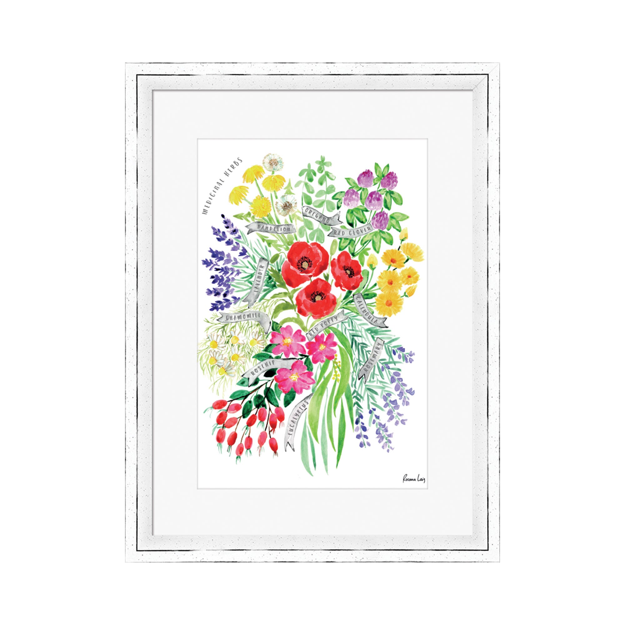 The Art Group Medicinal Herbs Watercolour Bouquet Framed Print MultiColoured Price Comparisons | Compare The Build