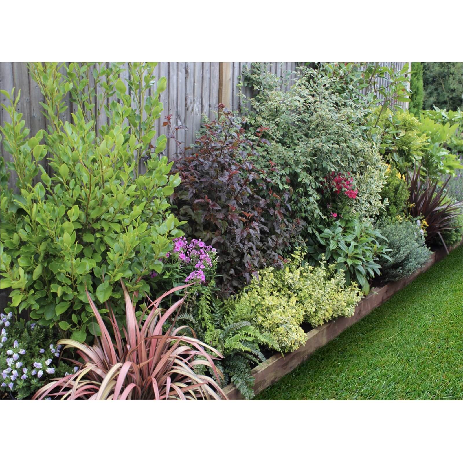 Evergreen Border 10m x 40cm Price Comparisons | Compare The Build