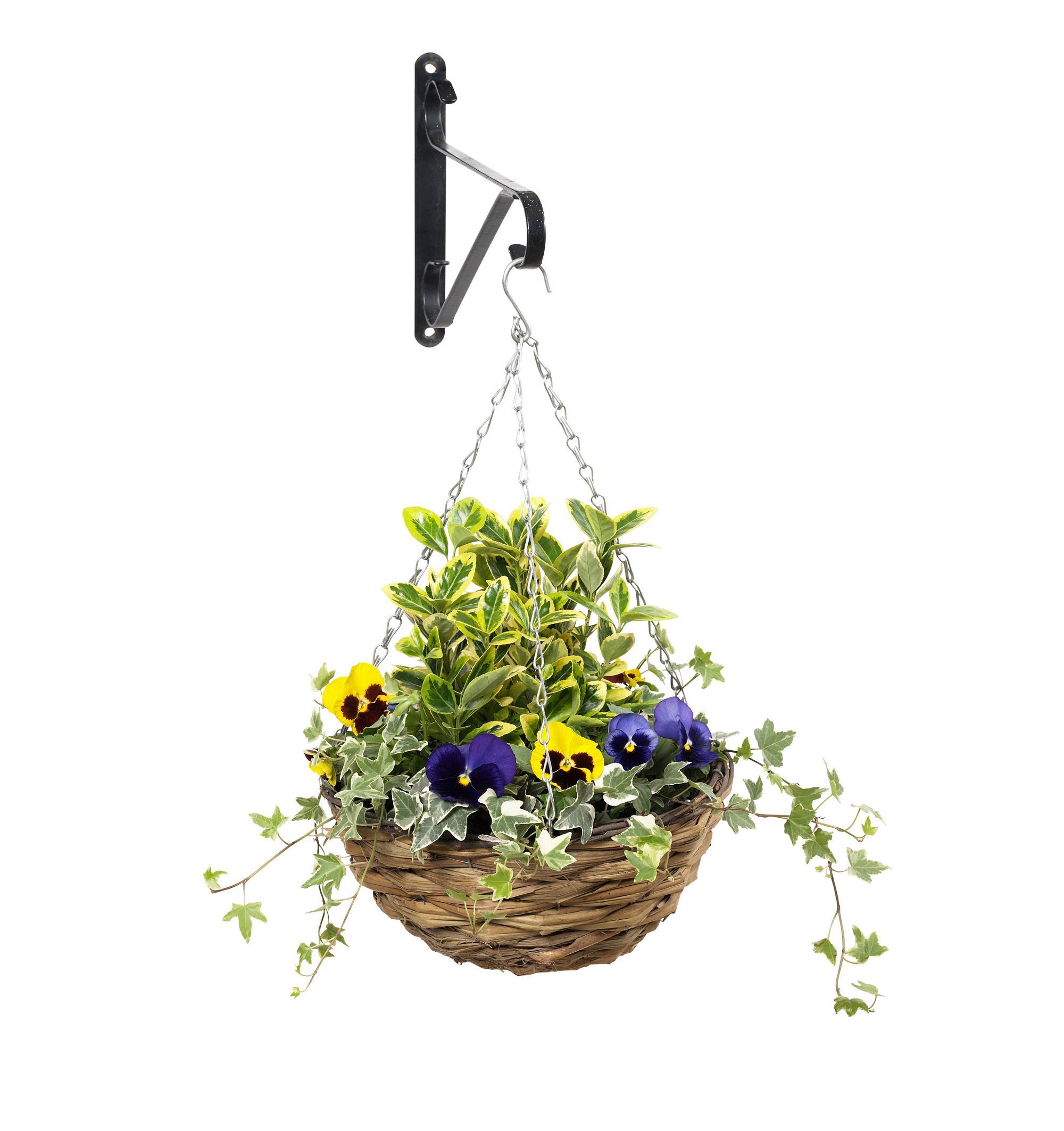 Brown Hanging Basket Of 1 Price Comparisons | Compare The Build