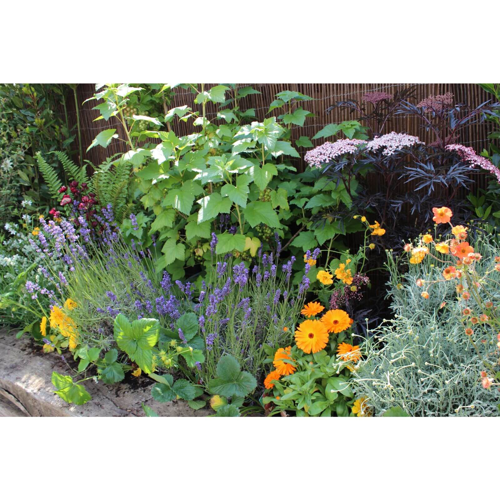 Sensory Border Collection - 8m x 90cm Price Comparisons | Compare The Build