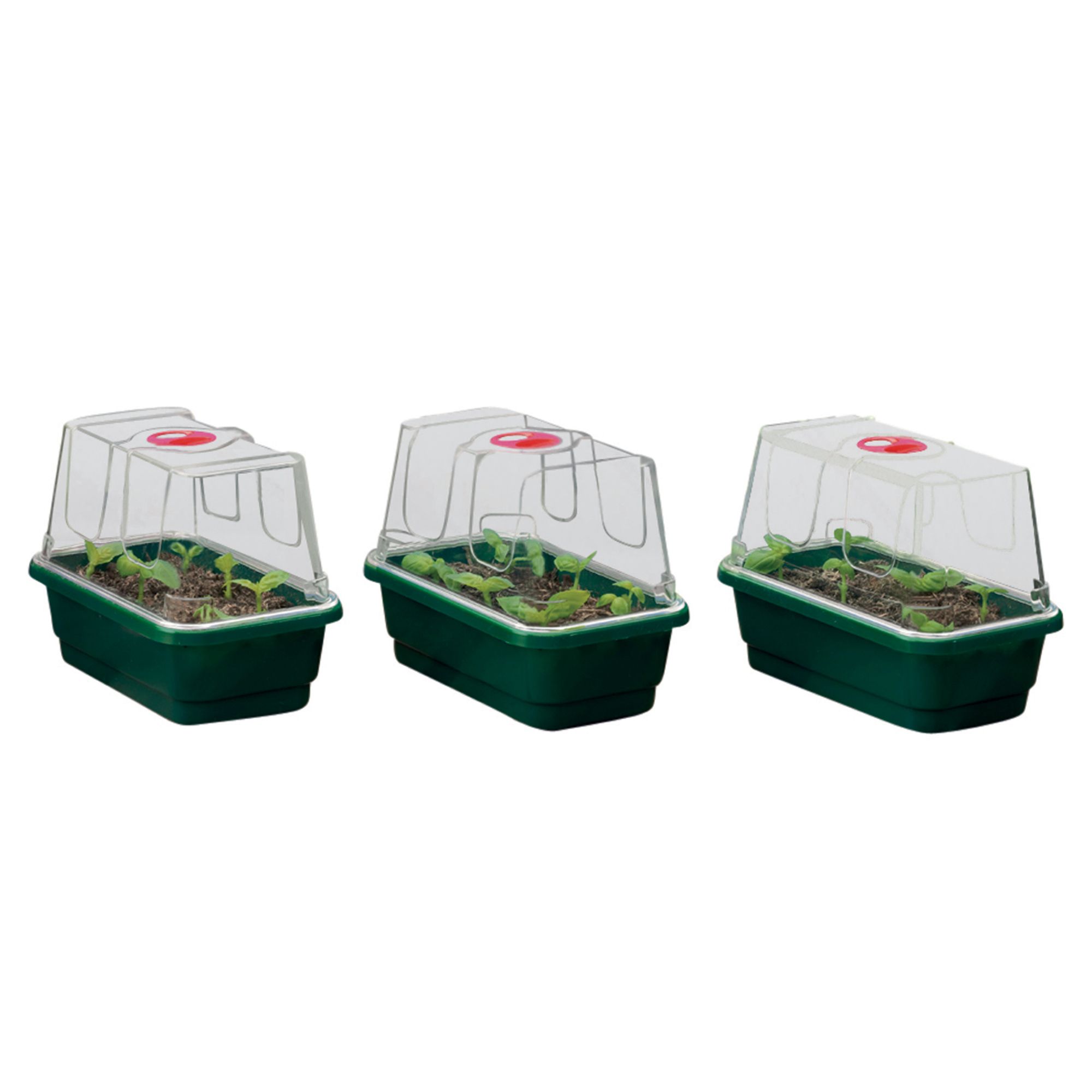 Garland Products Ltd Mini High Dome Propagator, Set Of 3 Price Comparisons | Compare The Build