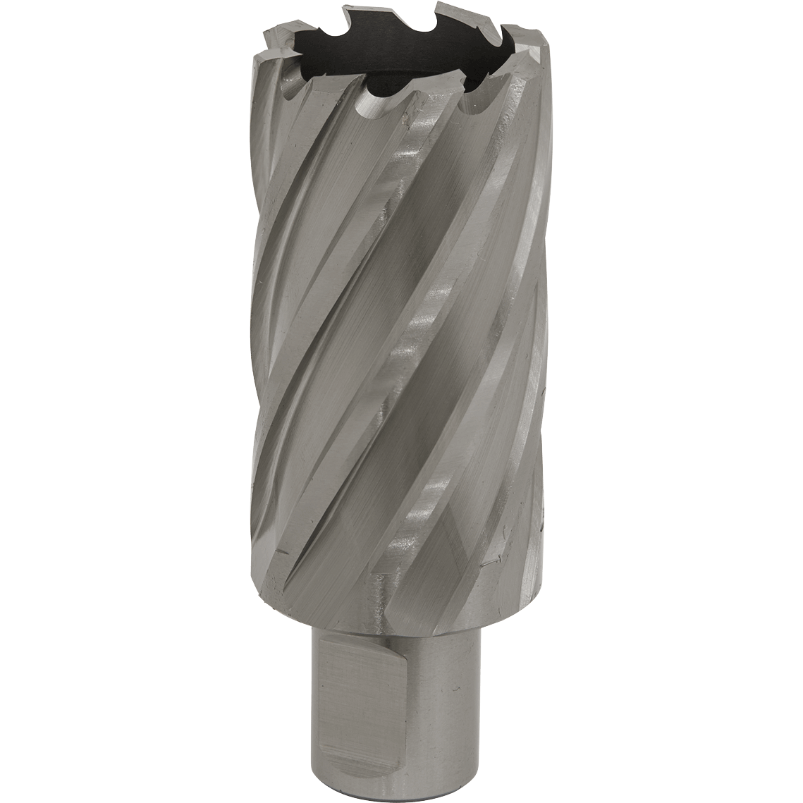 Sealey Rotabor Weldon Shank HSS Mag Drill Cutter 33mm 50mm Price Comparisons | Compare The Build