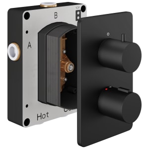 Hadleigh Concealed 2 Outlet Round Thermostatic Shower Valve - Matt Black Price Comparisons | Compare The Build