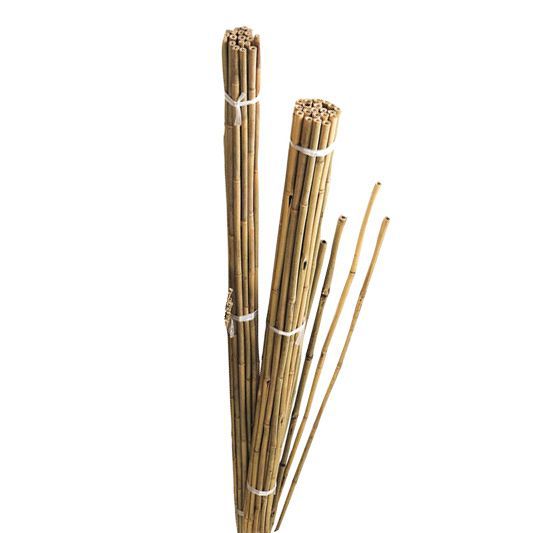 Gardman Bamboo Cane 243Cm, Pack Of 10 Price Comparisons | Compare The Build