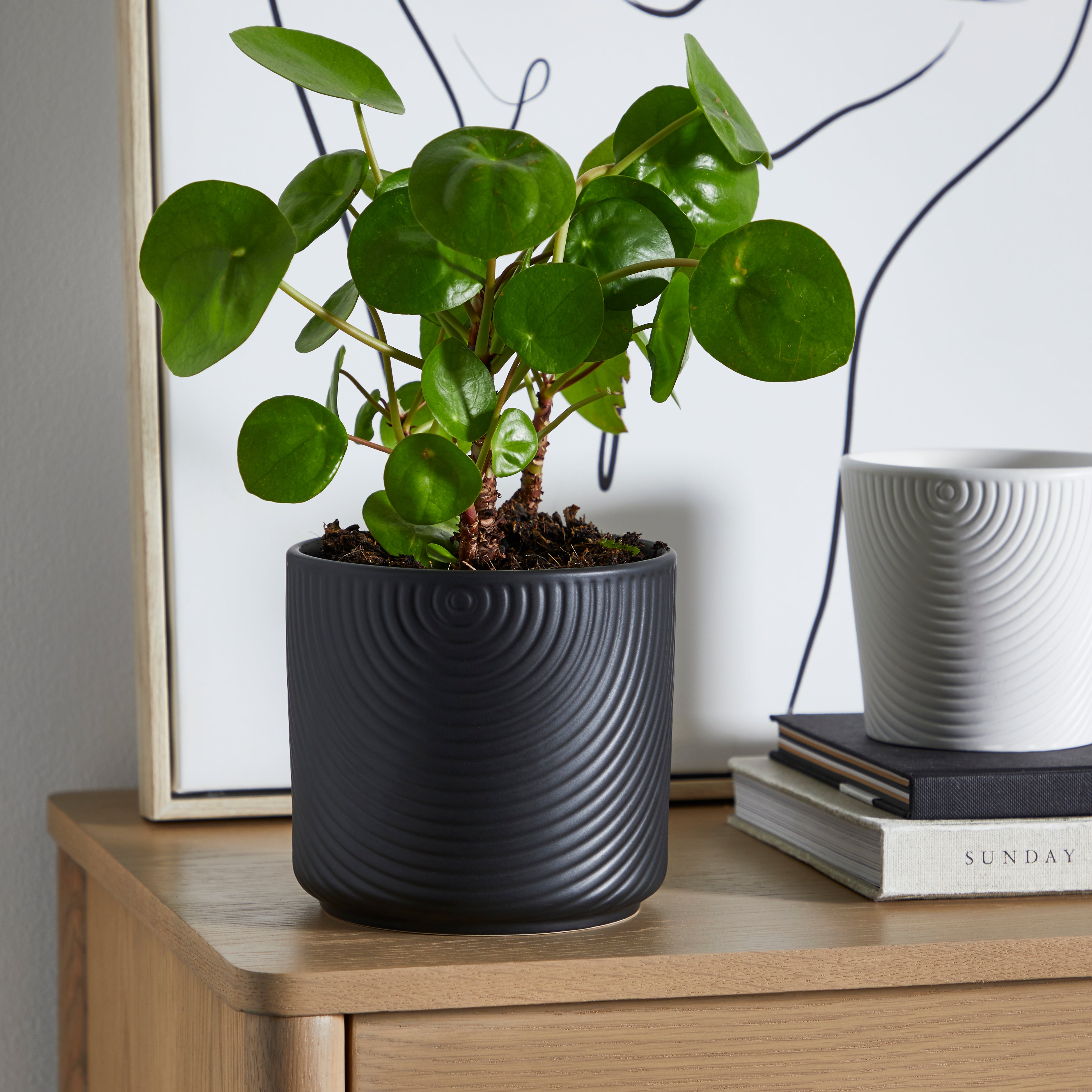 Ceramic Plant Pot Luxe Black Black Price Comparisons | Compare The Build