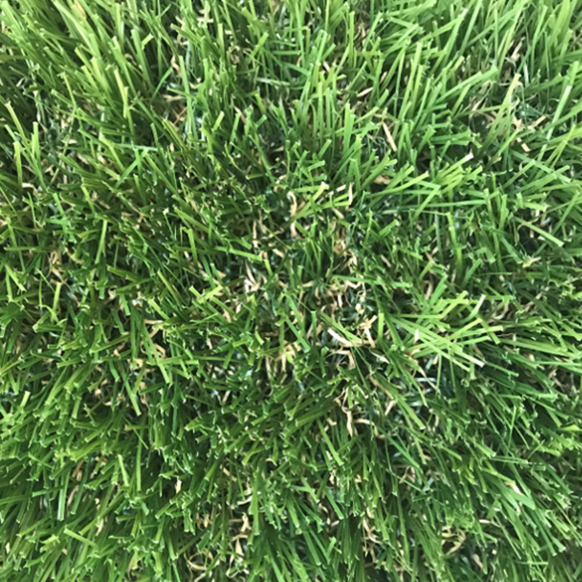 Blooma Olive Artificial Grass Sample (T)47mm Price Comparisons | Compare The Build