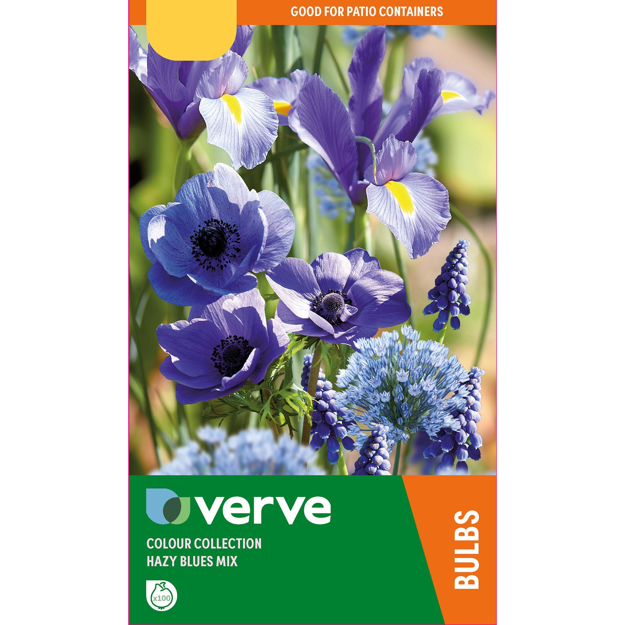 Verve Colour Collection Hazy Blues Mix Flower Bulb, Pack Of 100 Price Comparisons | Compare The Build