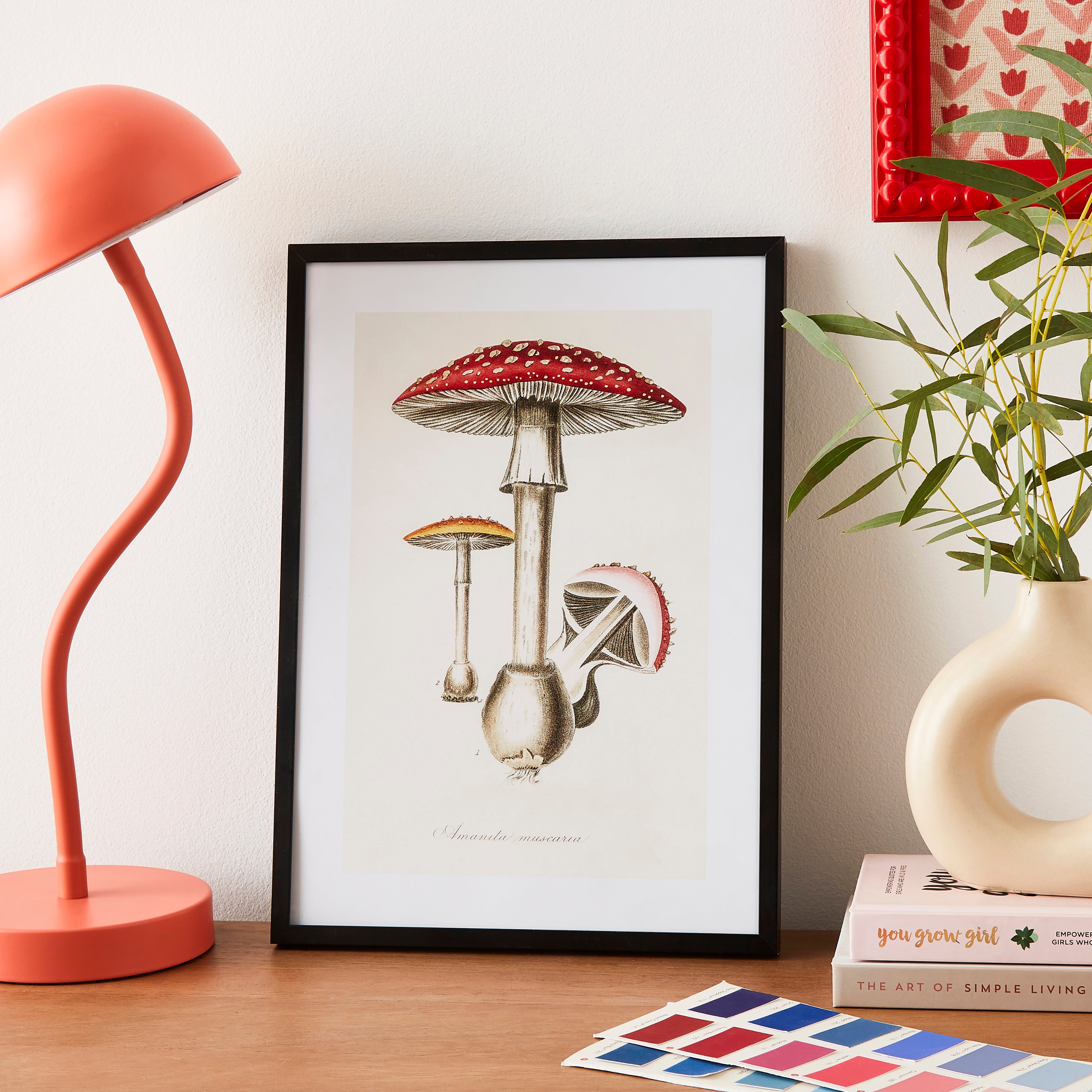 Amanita Muscaria Illustration Poster MultiColoured Price Comparisons | Compare The Build