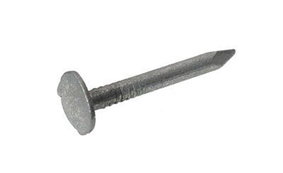 Skip19B Clout Nailgalvanised 500G 30X3mm Price Comparisons | Compare The Build