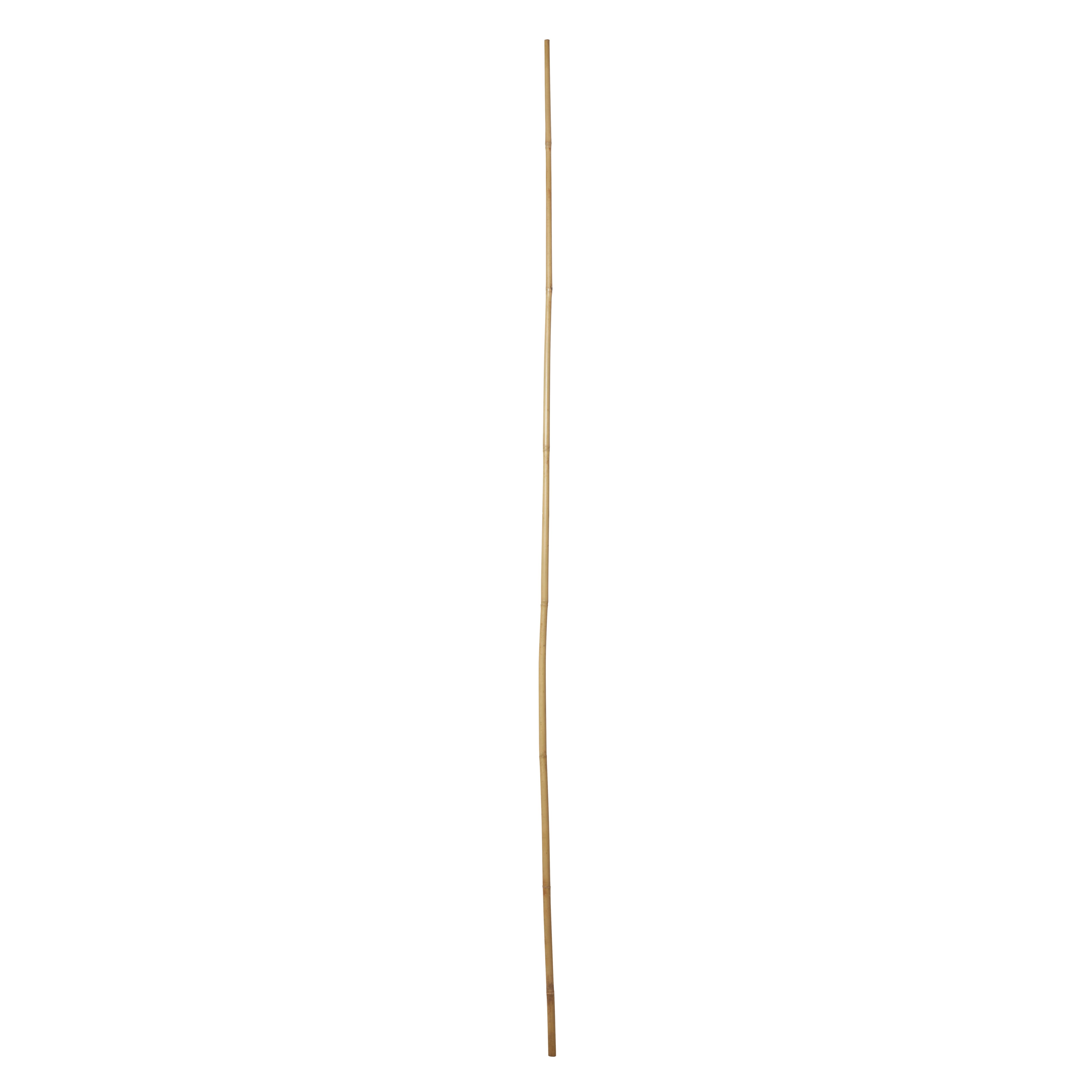 Verve Bamboo Cane 180Cm, Pack Of 10 Price Comparisons | Compare The Build