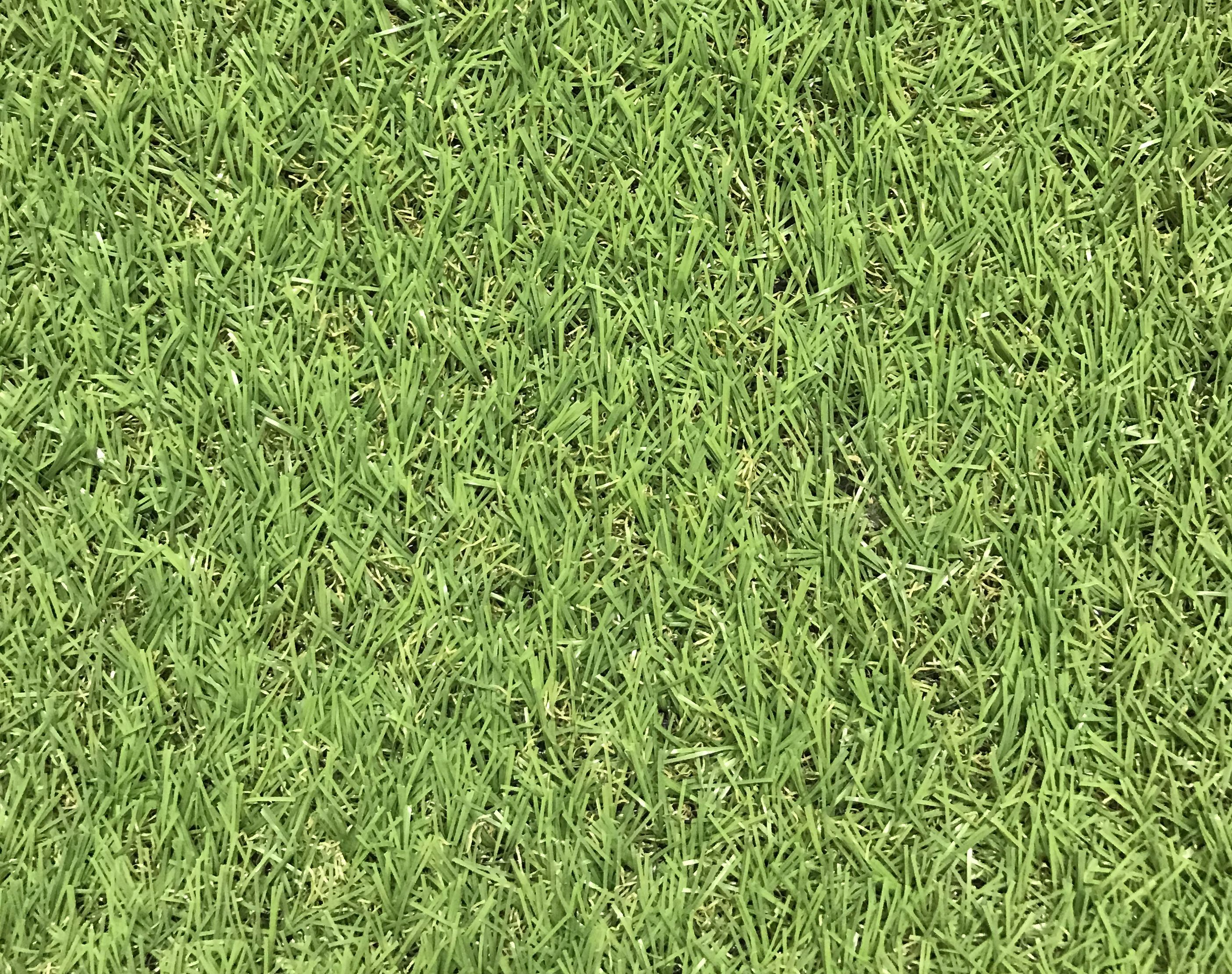 Artificial Grass Price Comparisons | Compare The Build