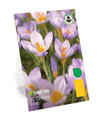 Verve Sieberi Firefly Flower Bulb Price Comparisons | Compare The Build