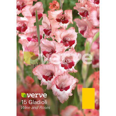 Verve Wine & Roses Flower Bulb Price Comparisons | Compare The Build