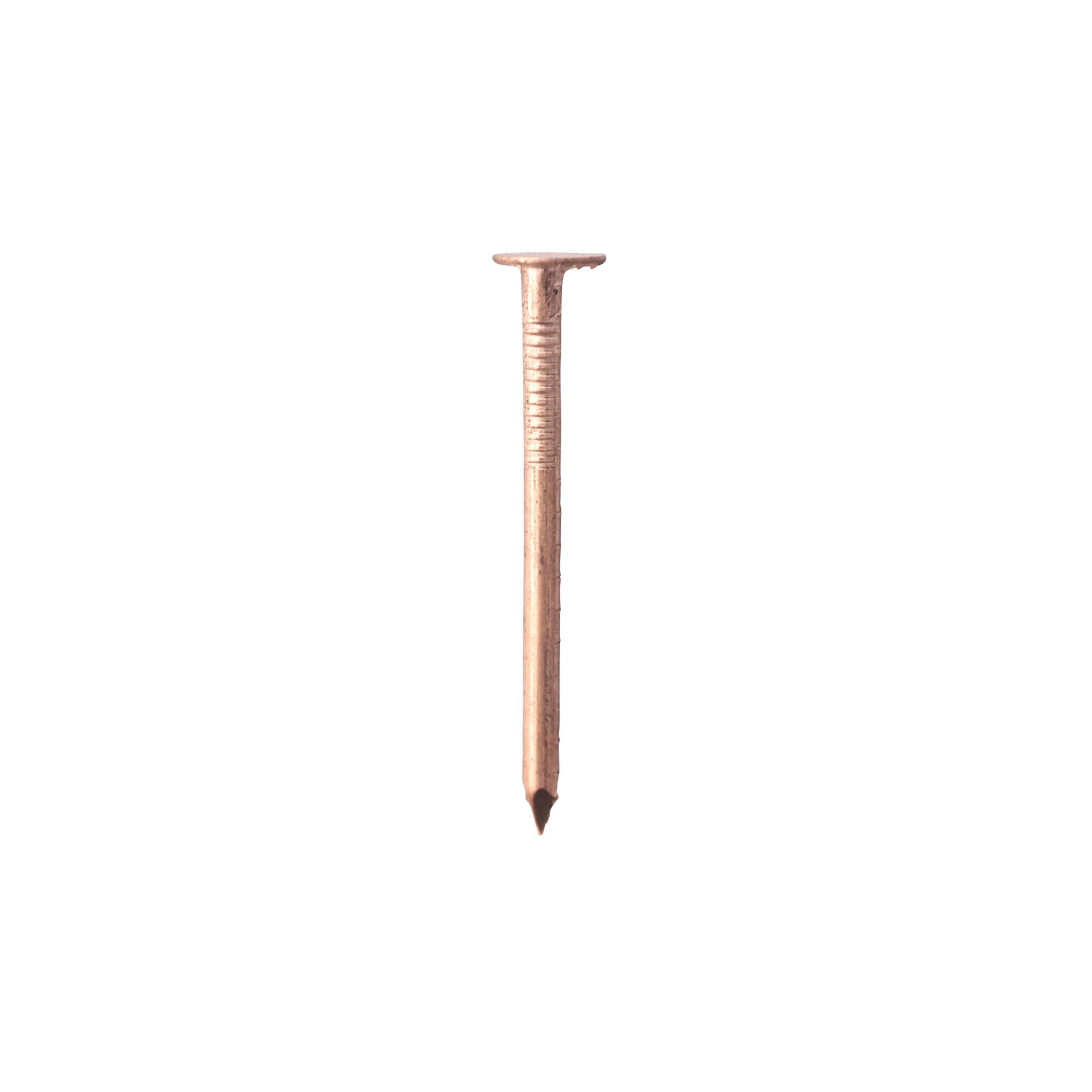 Timco Clout Nail (L)38mm (Dia)2.65mm 1G | Compare The Build