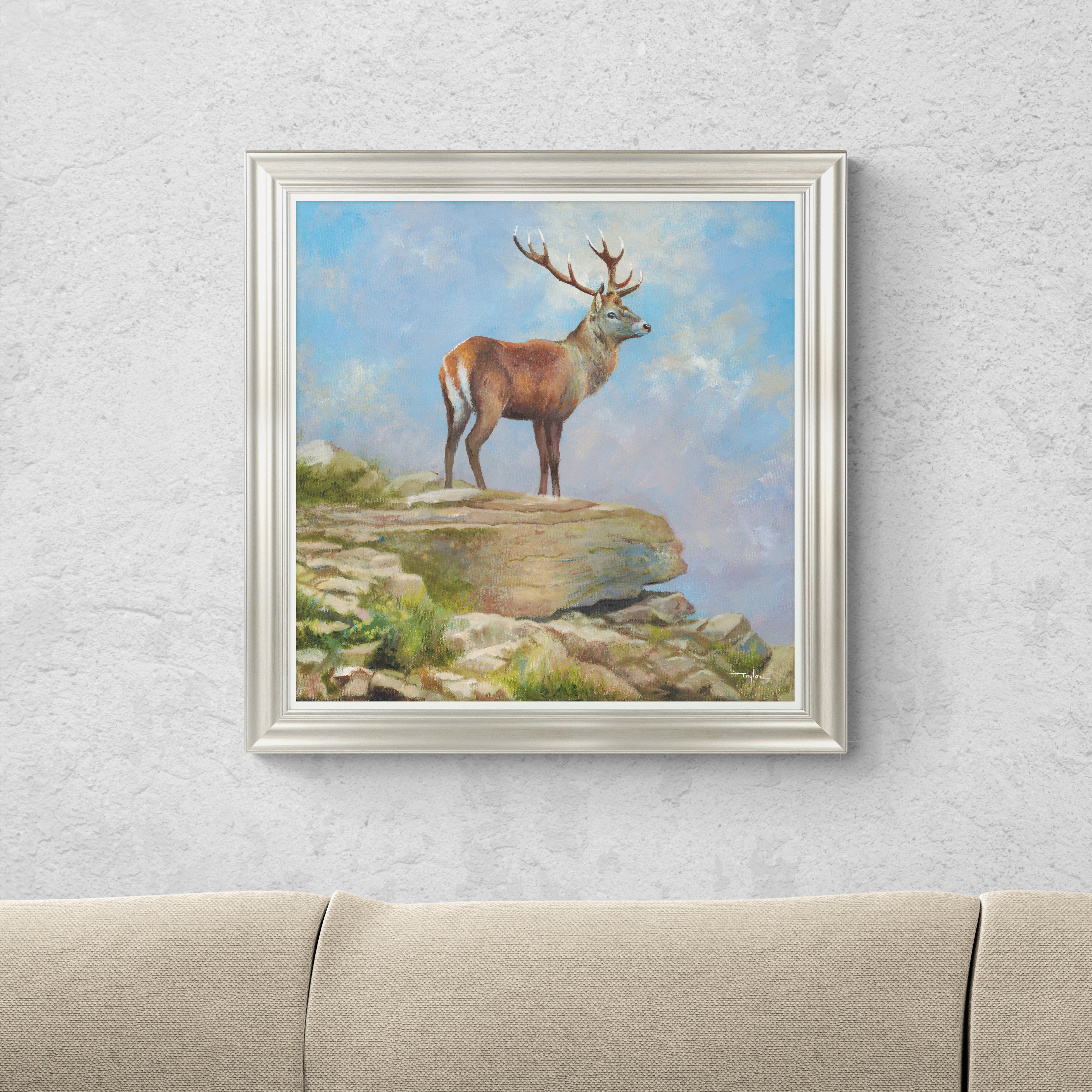 Highland Stag by John Taylor Framed Print MultiColoured Price Comparisons | Compare The Build