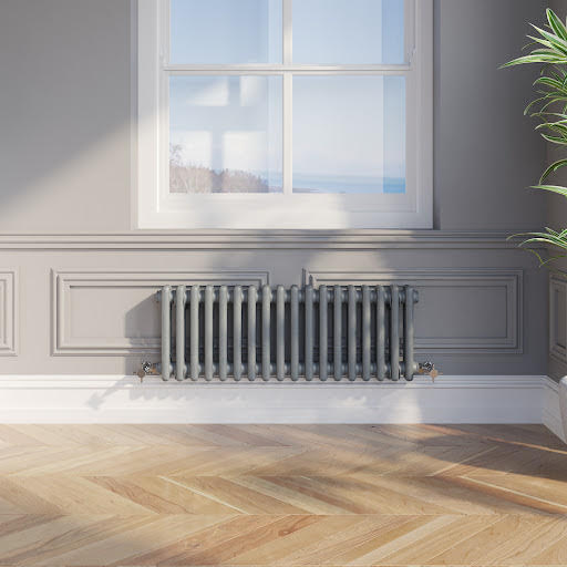 Park Lane Traditional Colosseum Double Bar Column Radiator Anthracite 300 x 830mm | Compare The Build